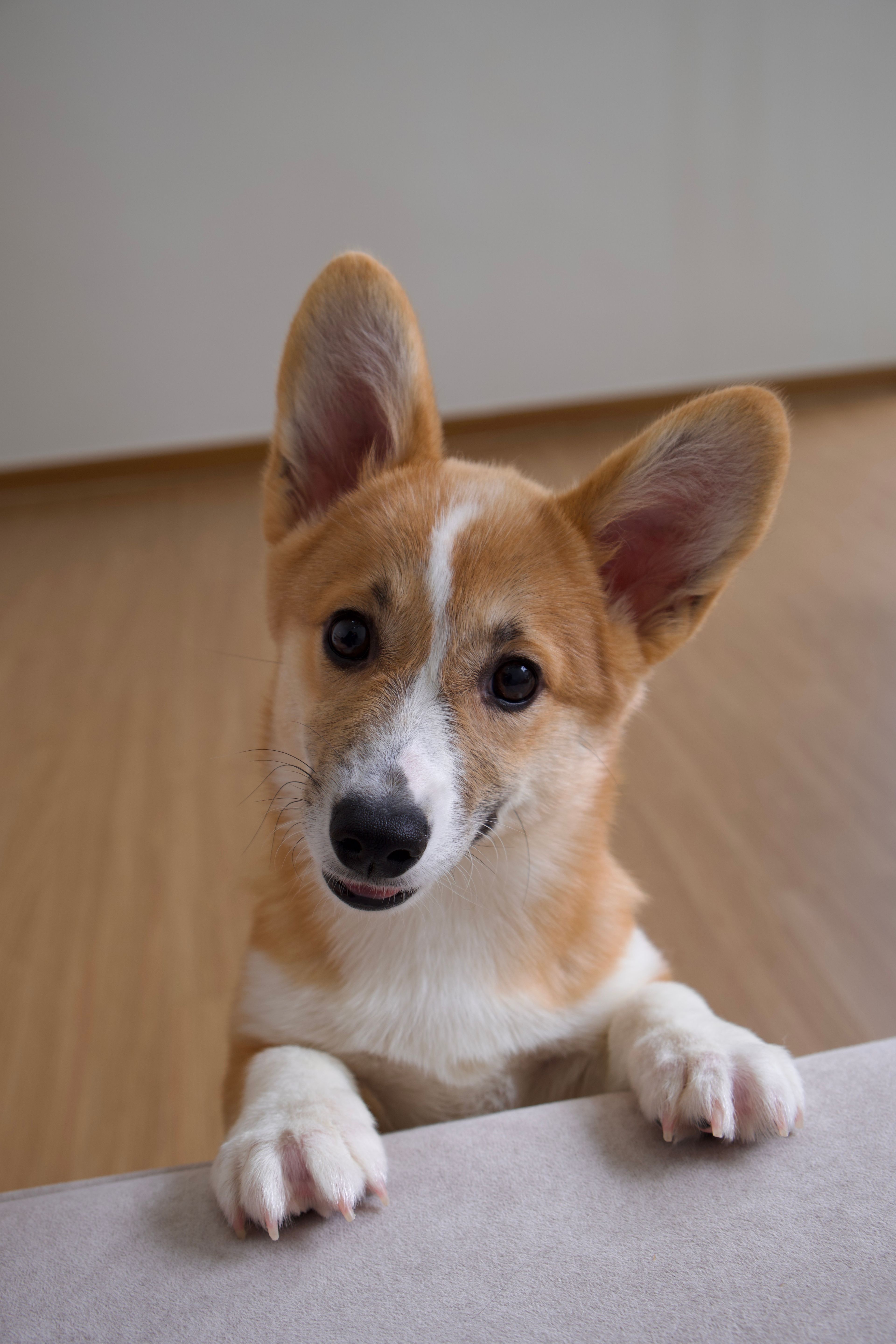 image-0
