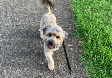 Murphy