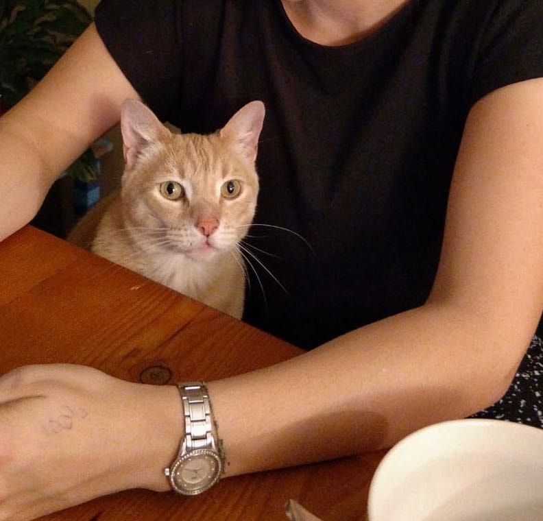 image-7