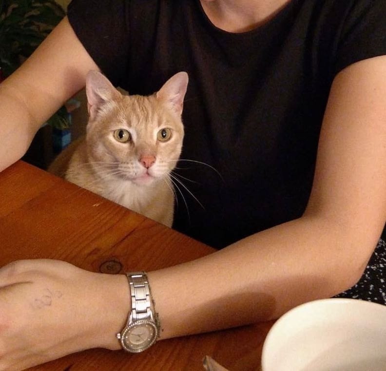image-7