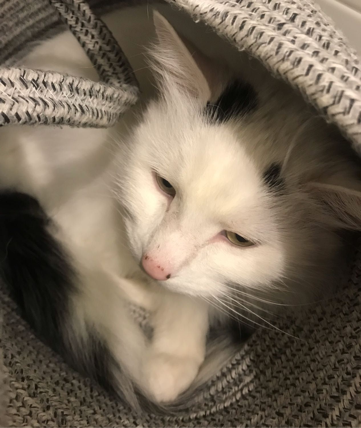 image-0