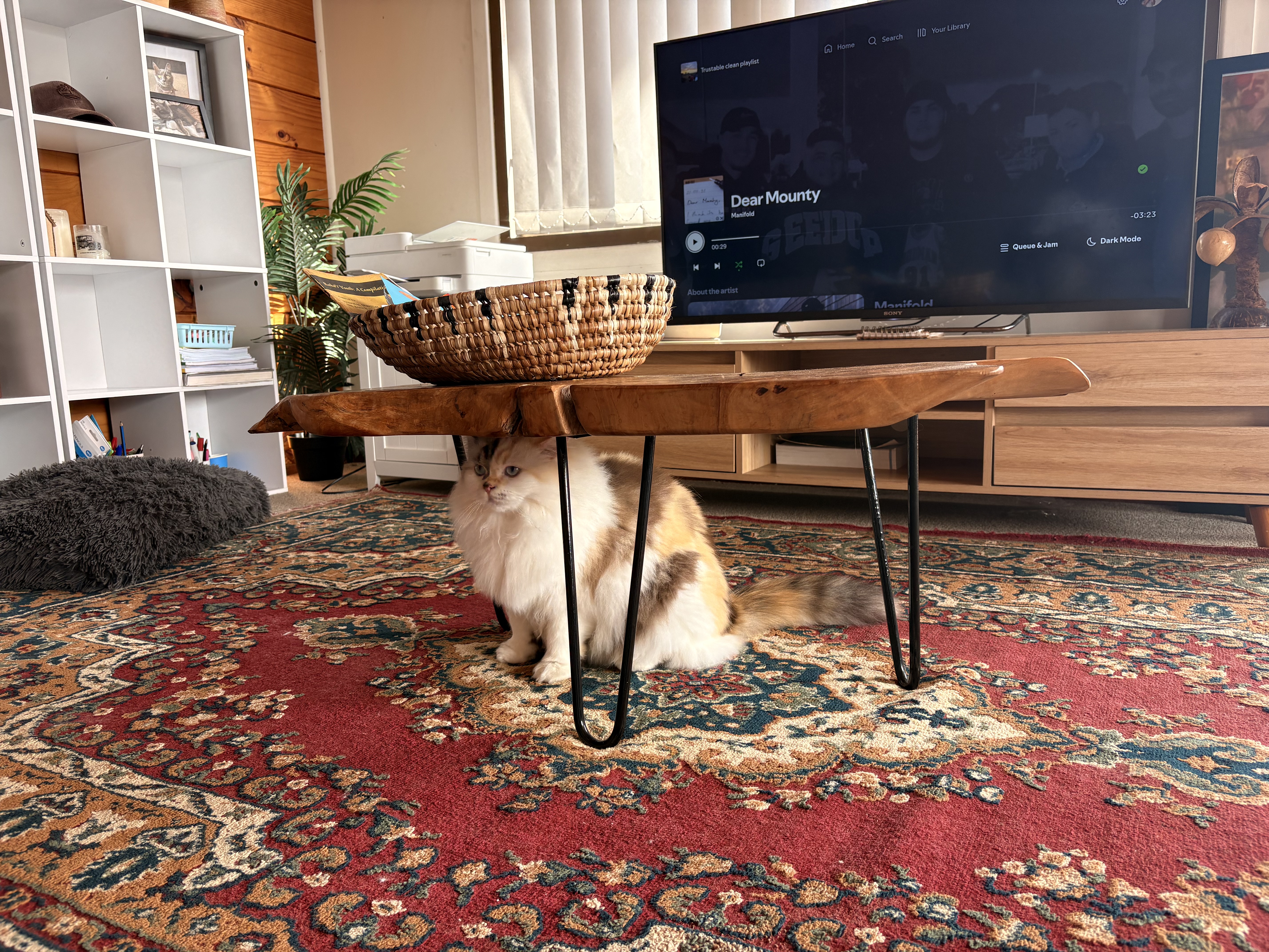 image-10