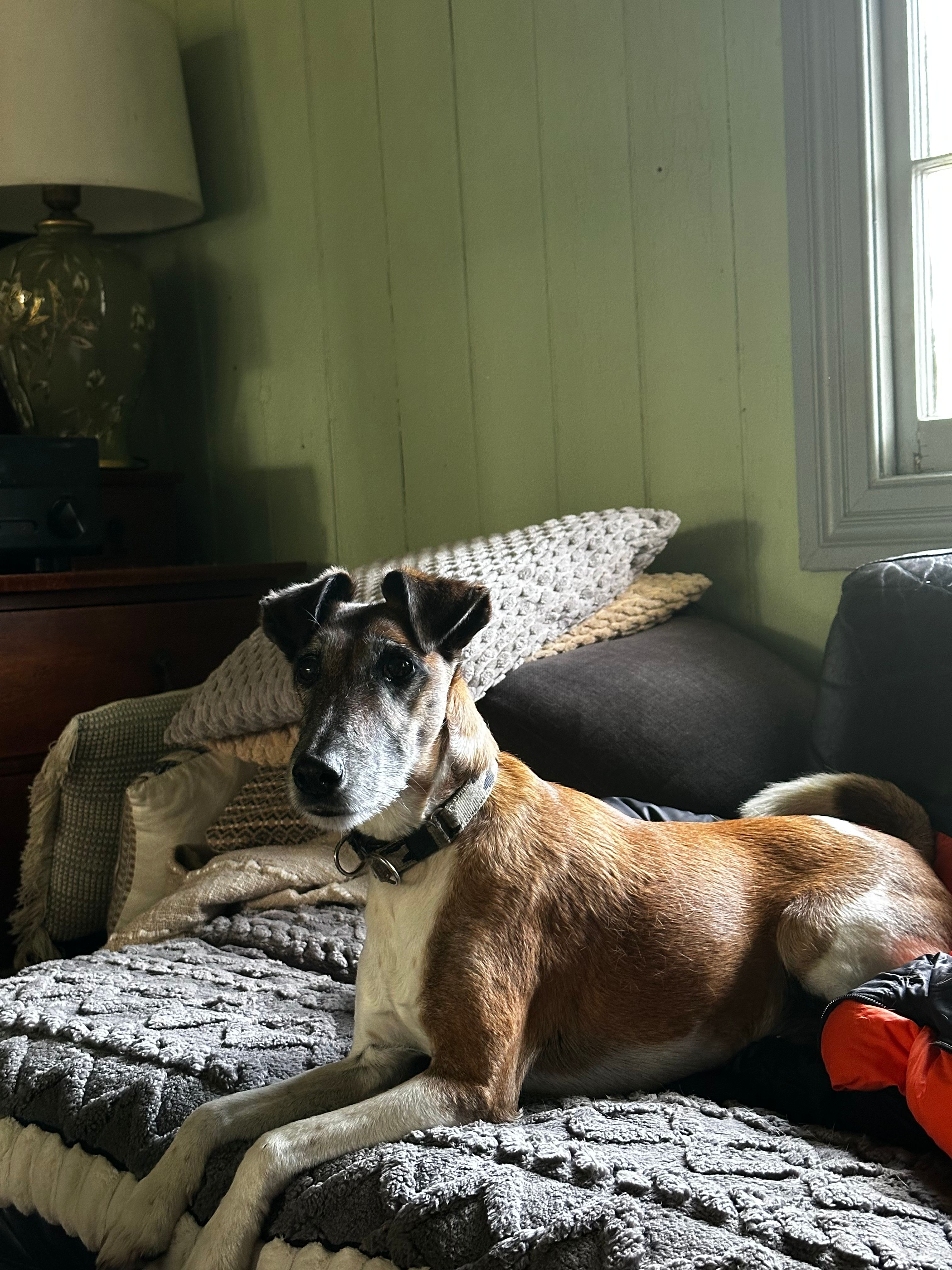 image-8
