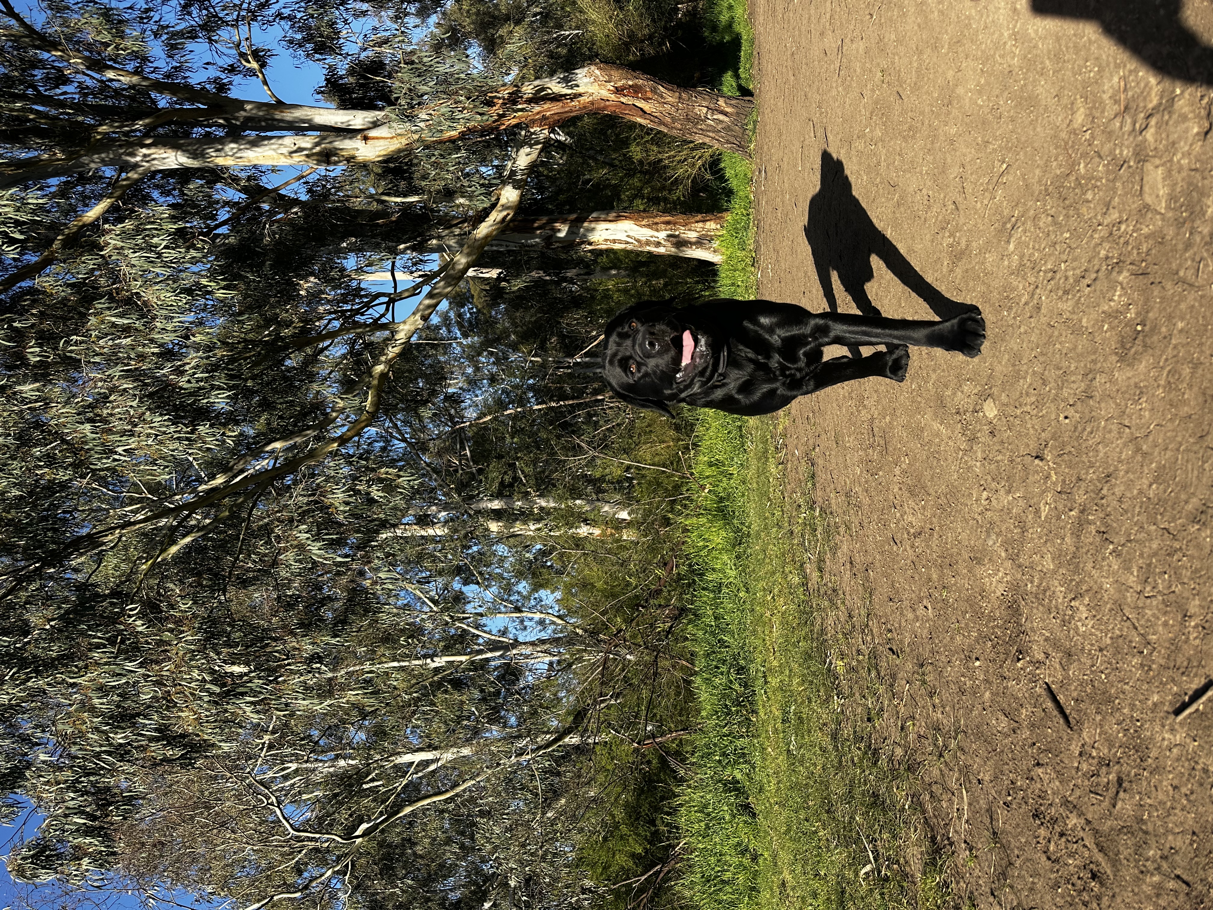 image-11