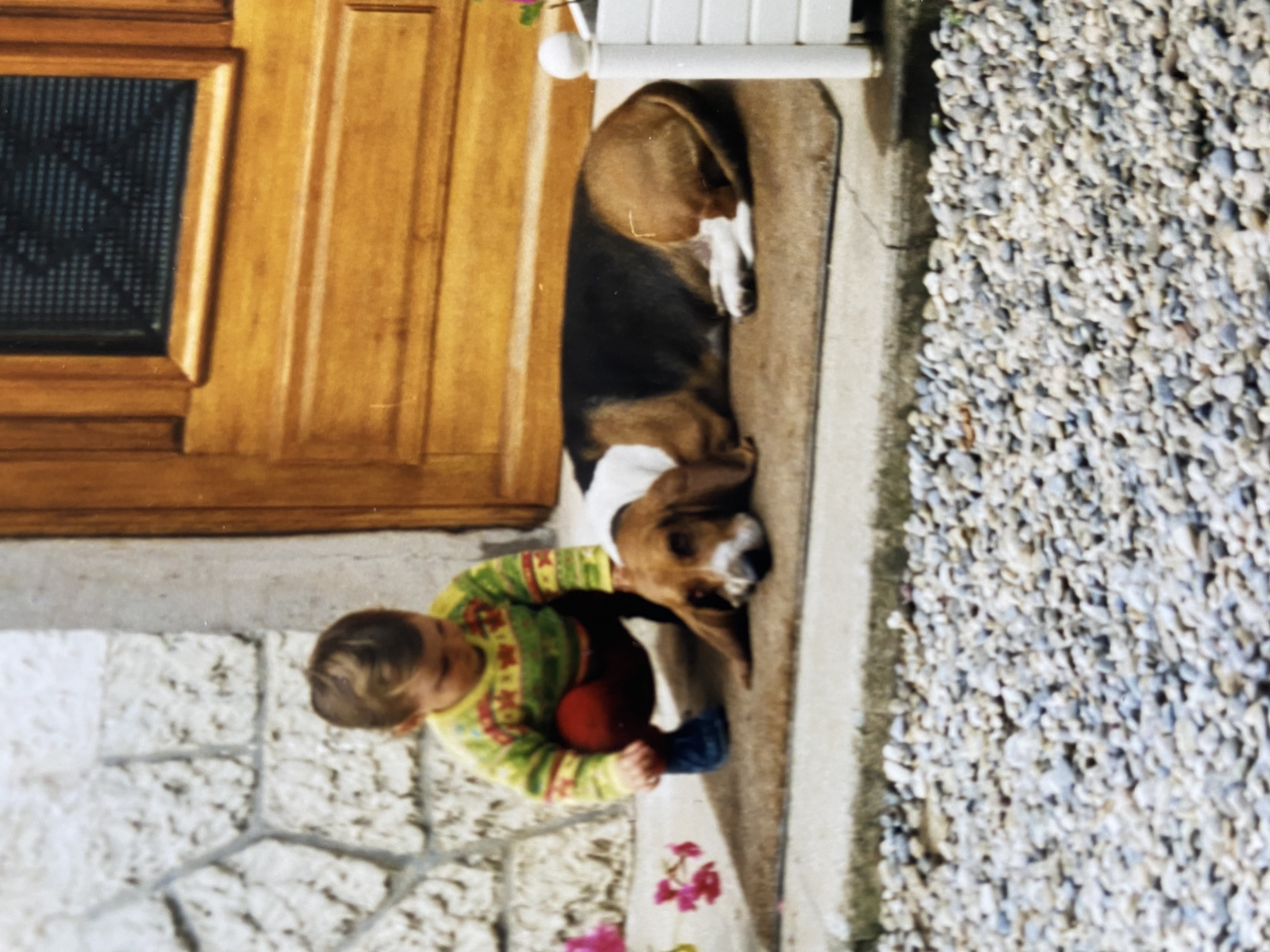 image-14
