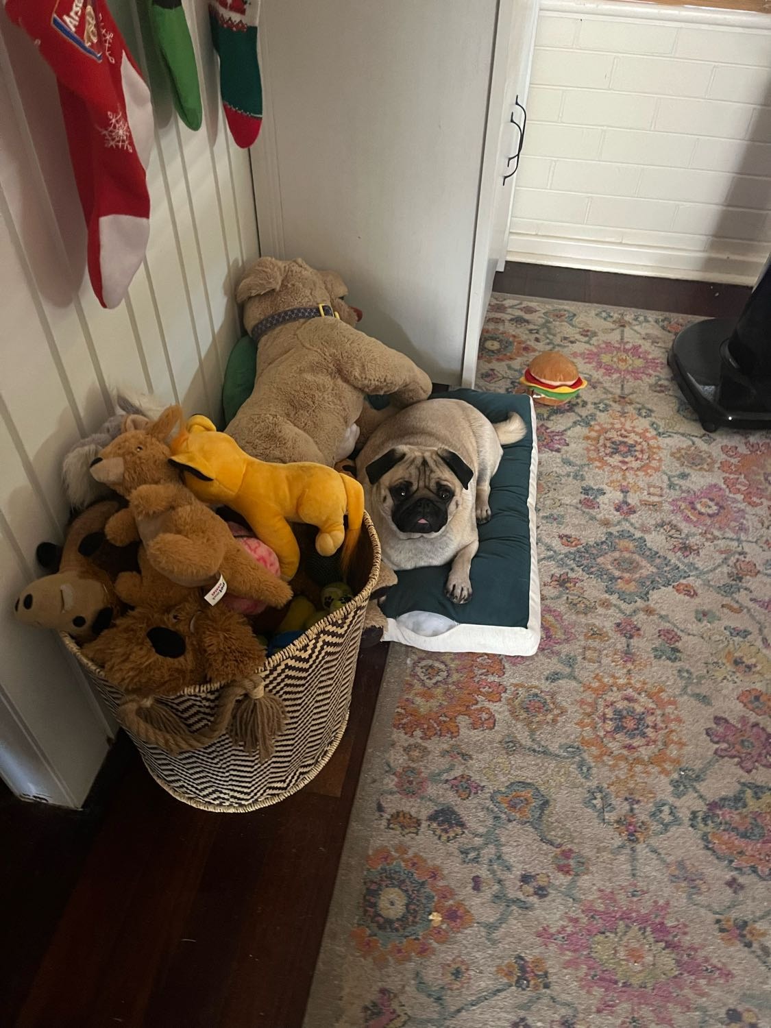 image-7