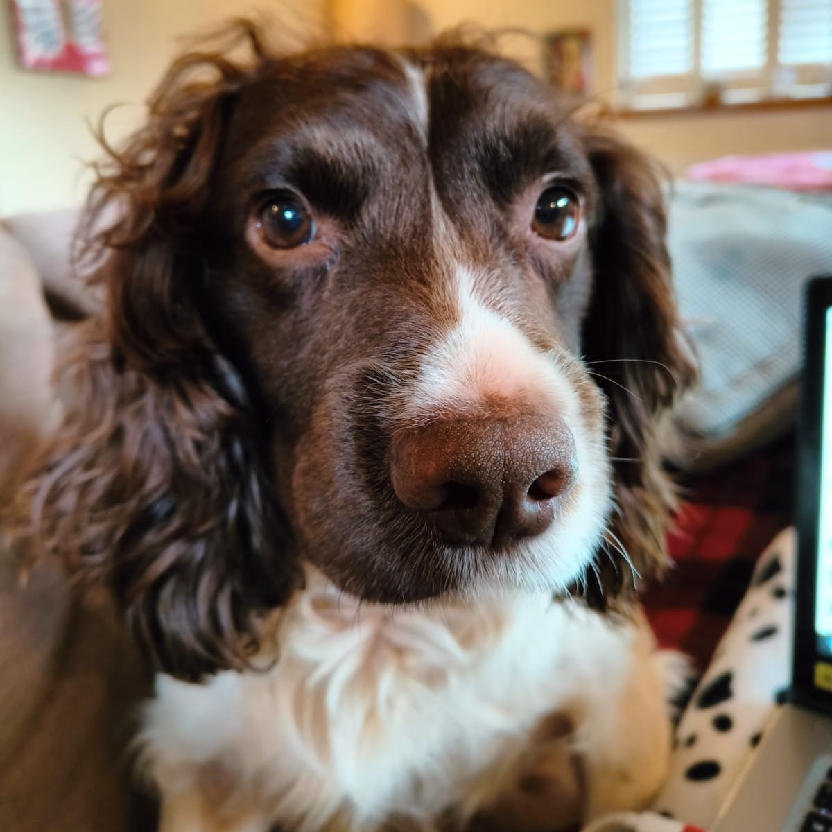 Richard 'Toddy' Todd