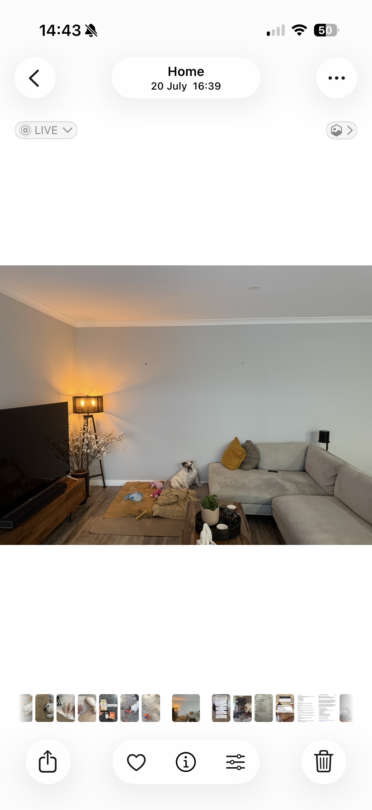 image-19