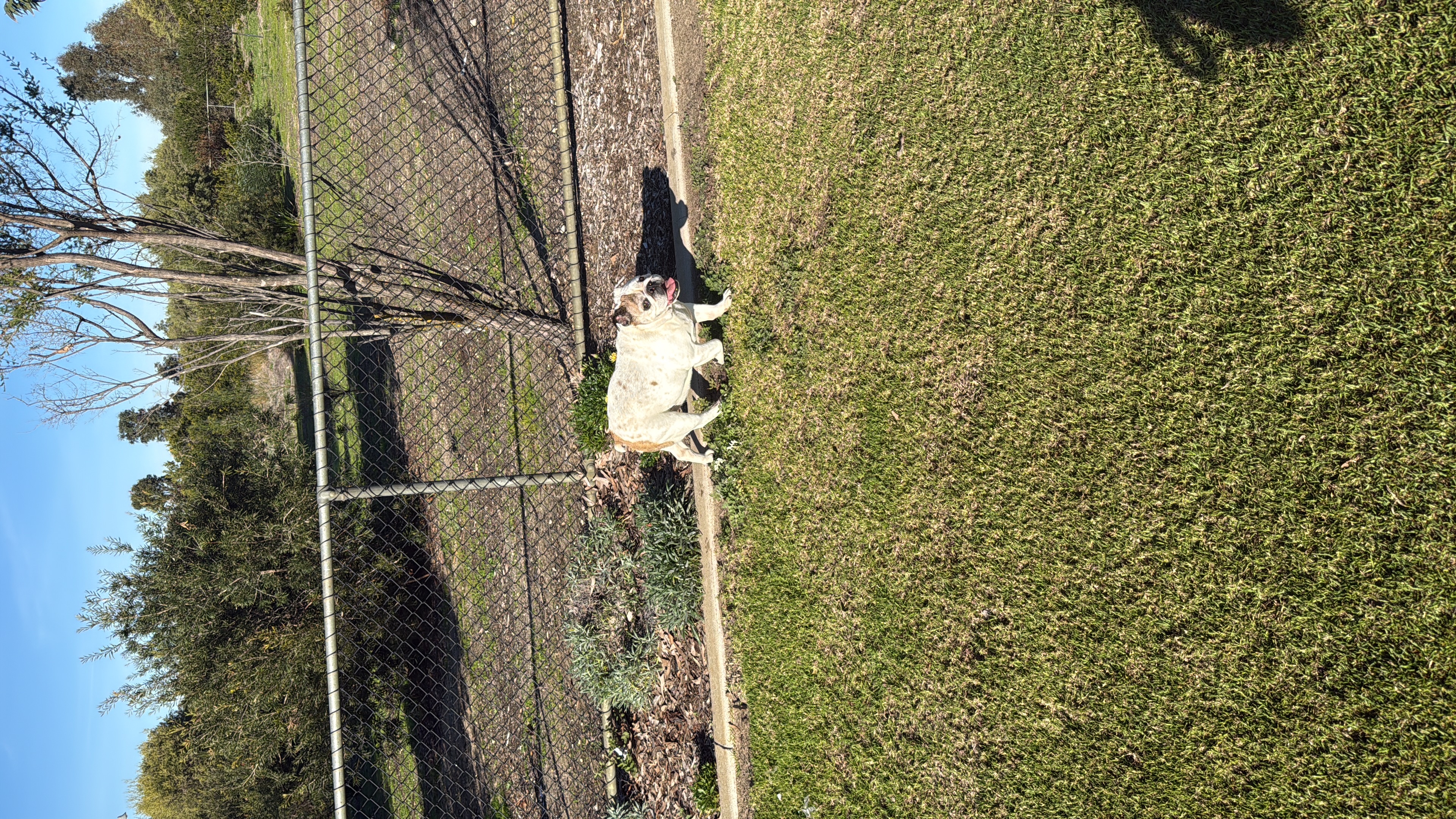 image-5