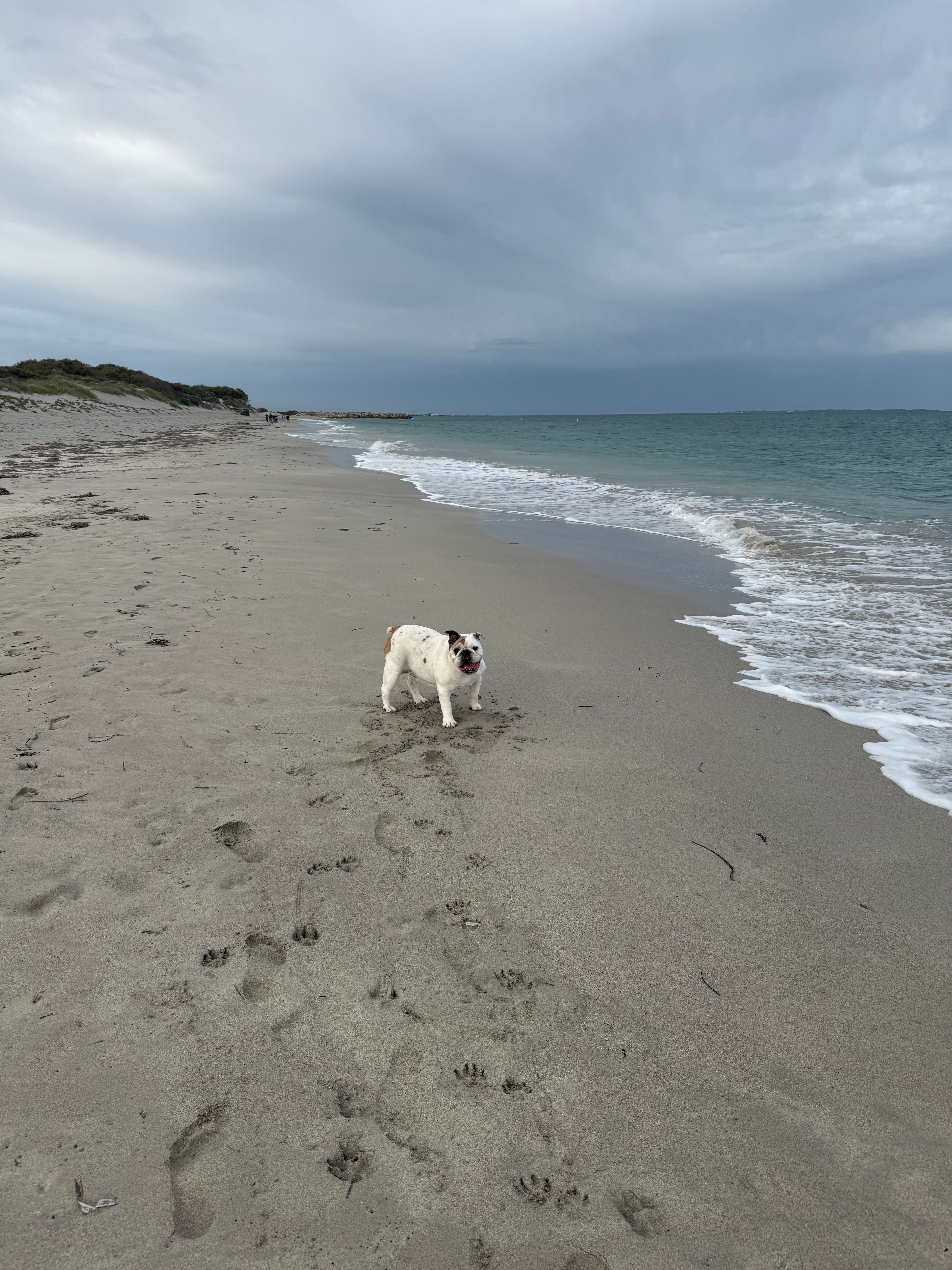 image-6