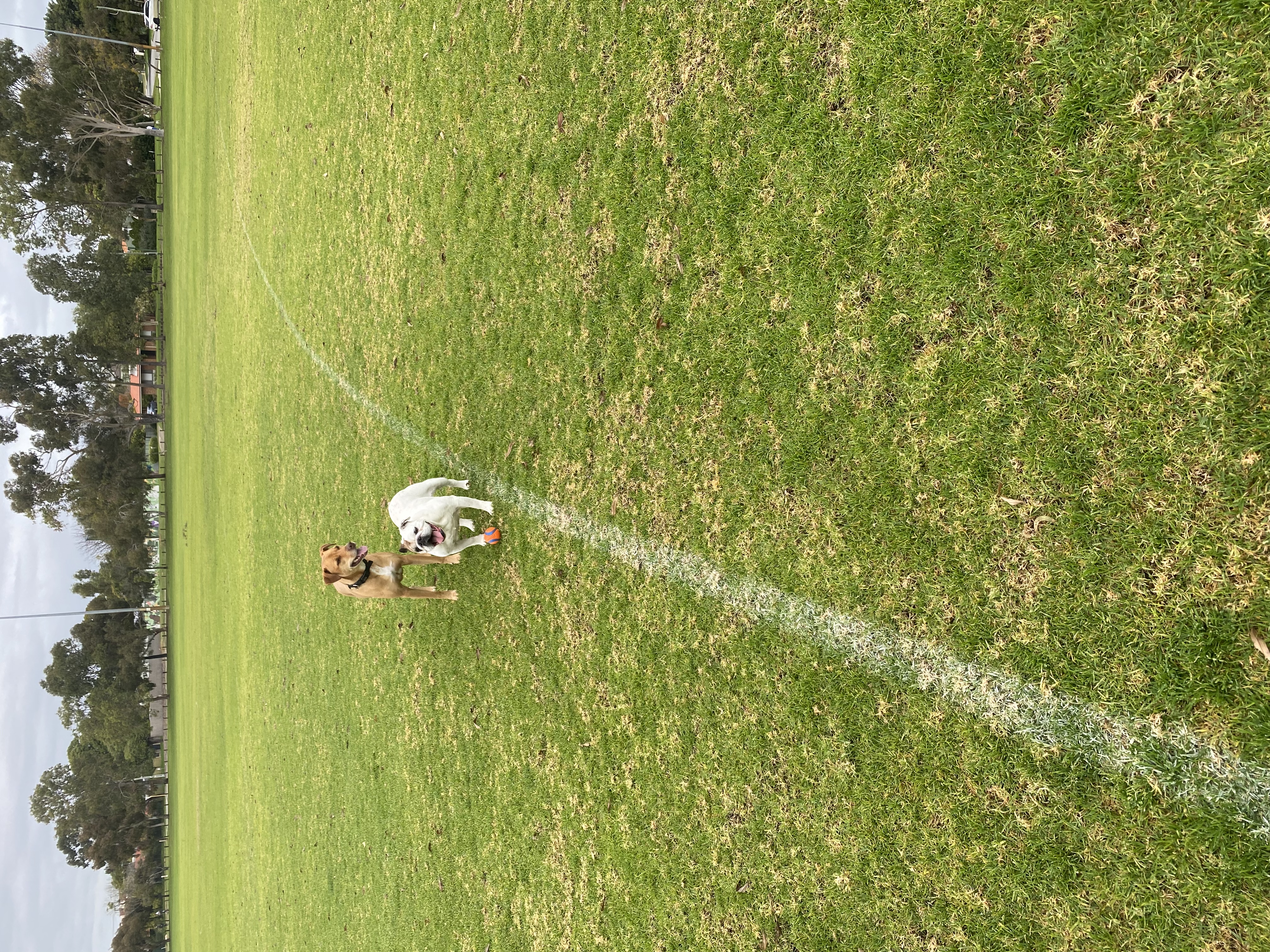 image-14