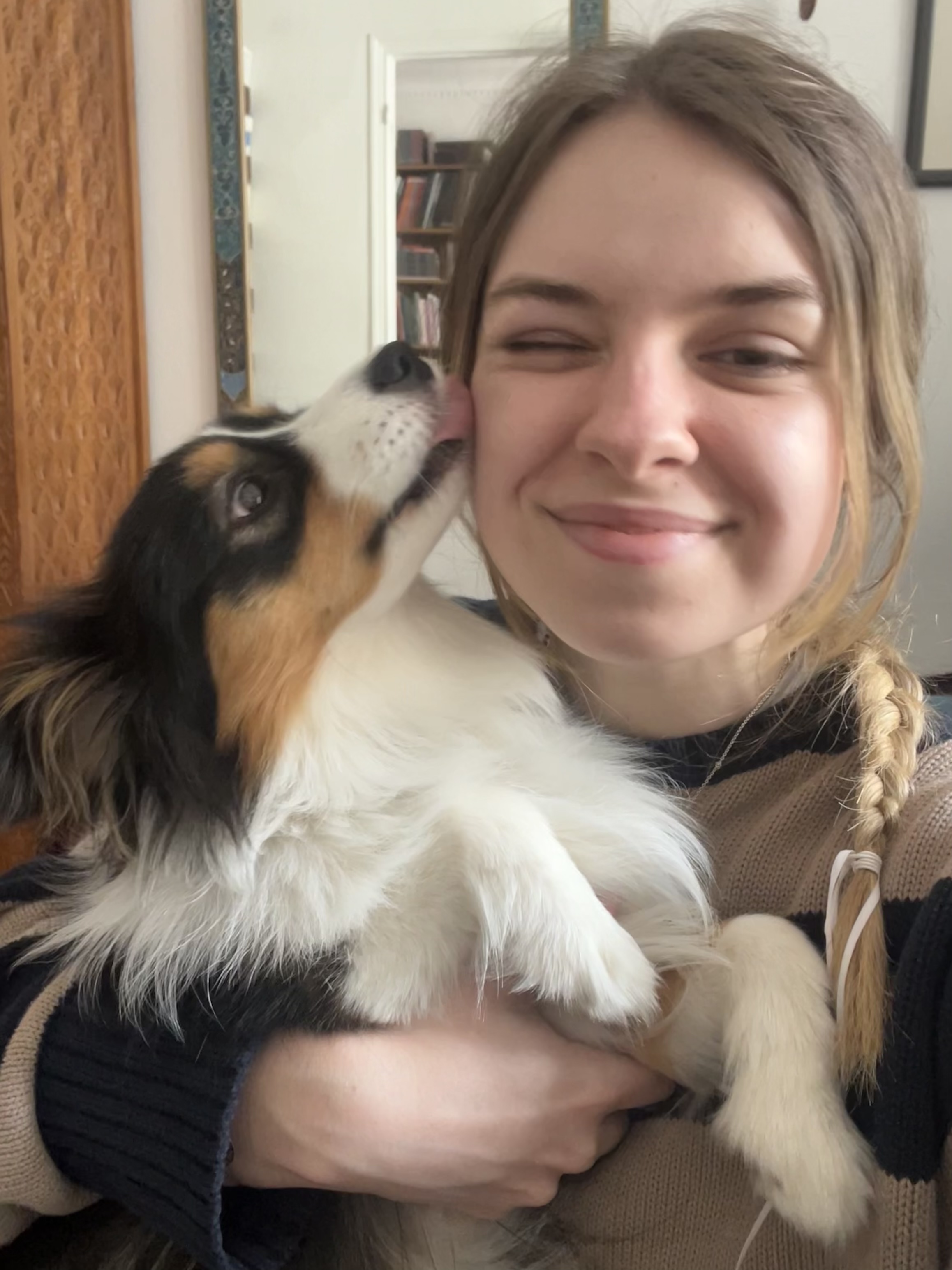 image-6