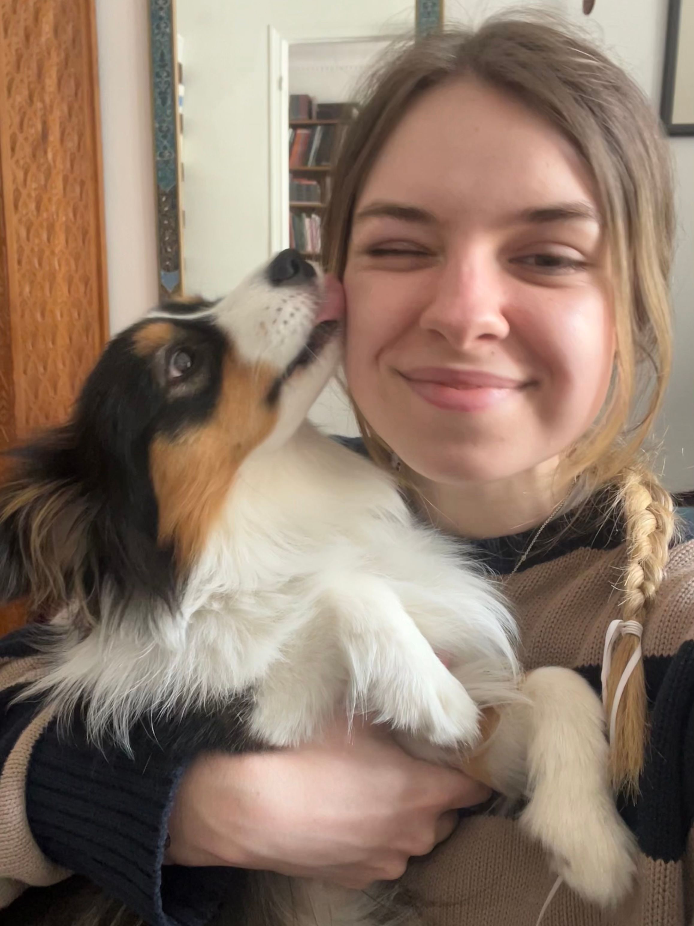 image-6