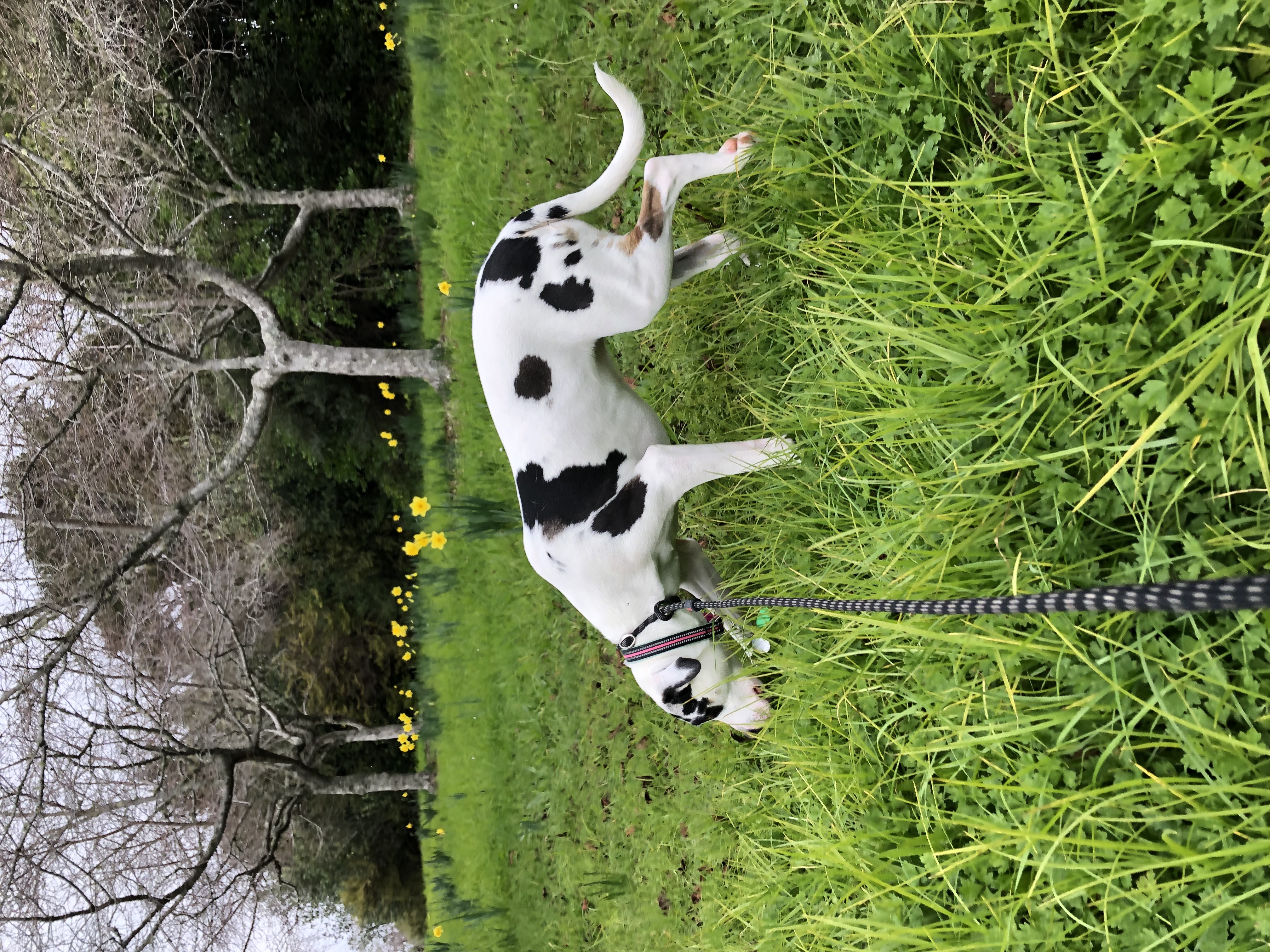 image-10