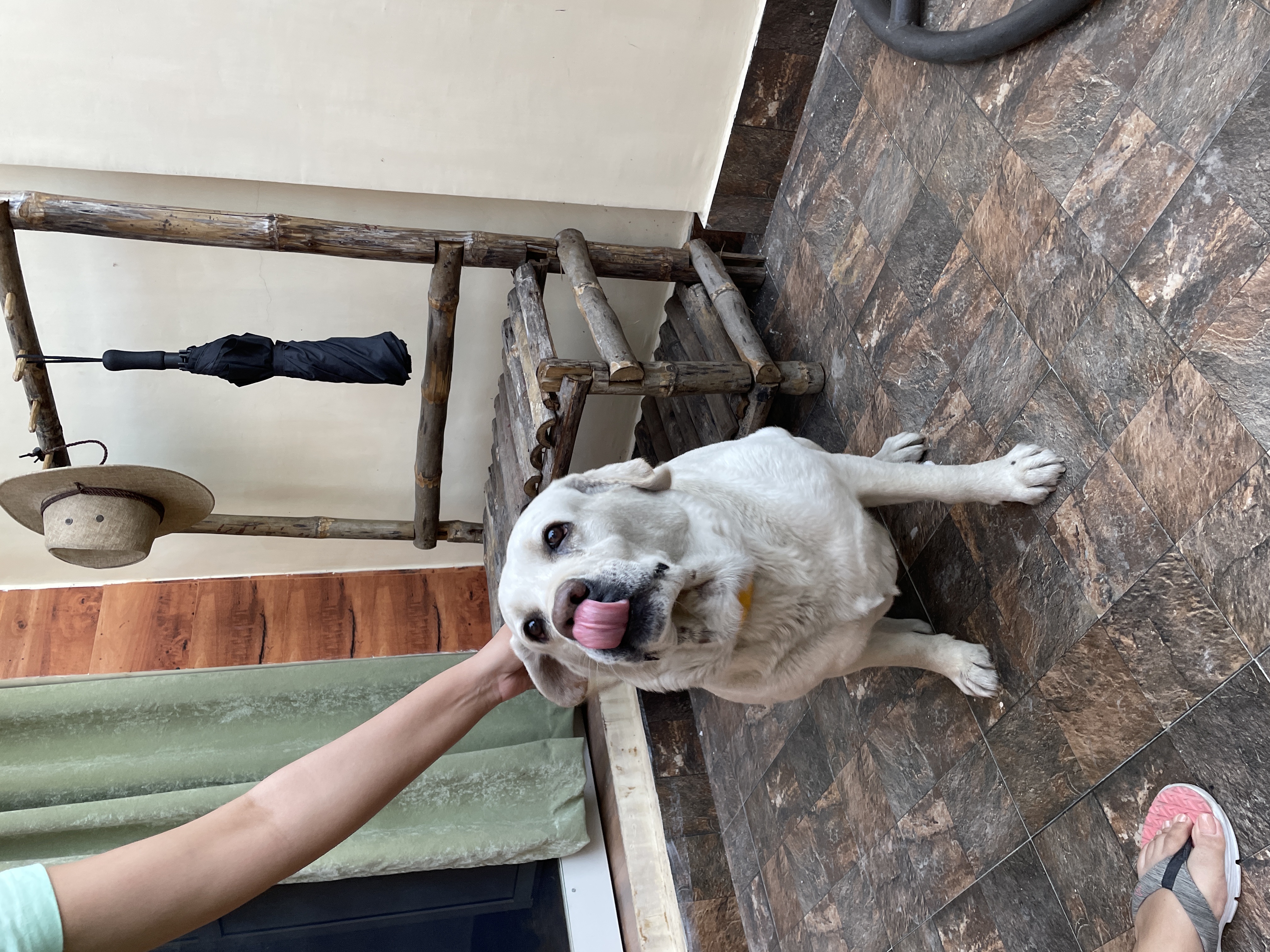 image-10