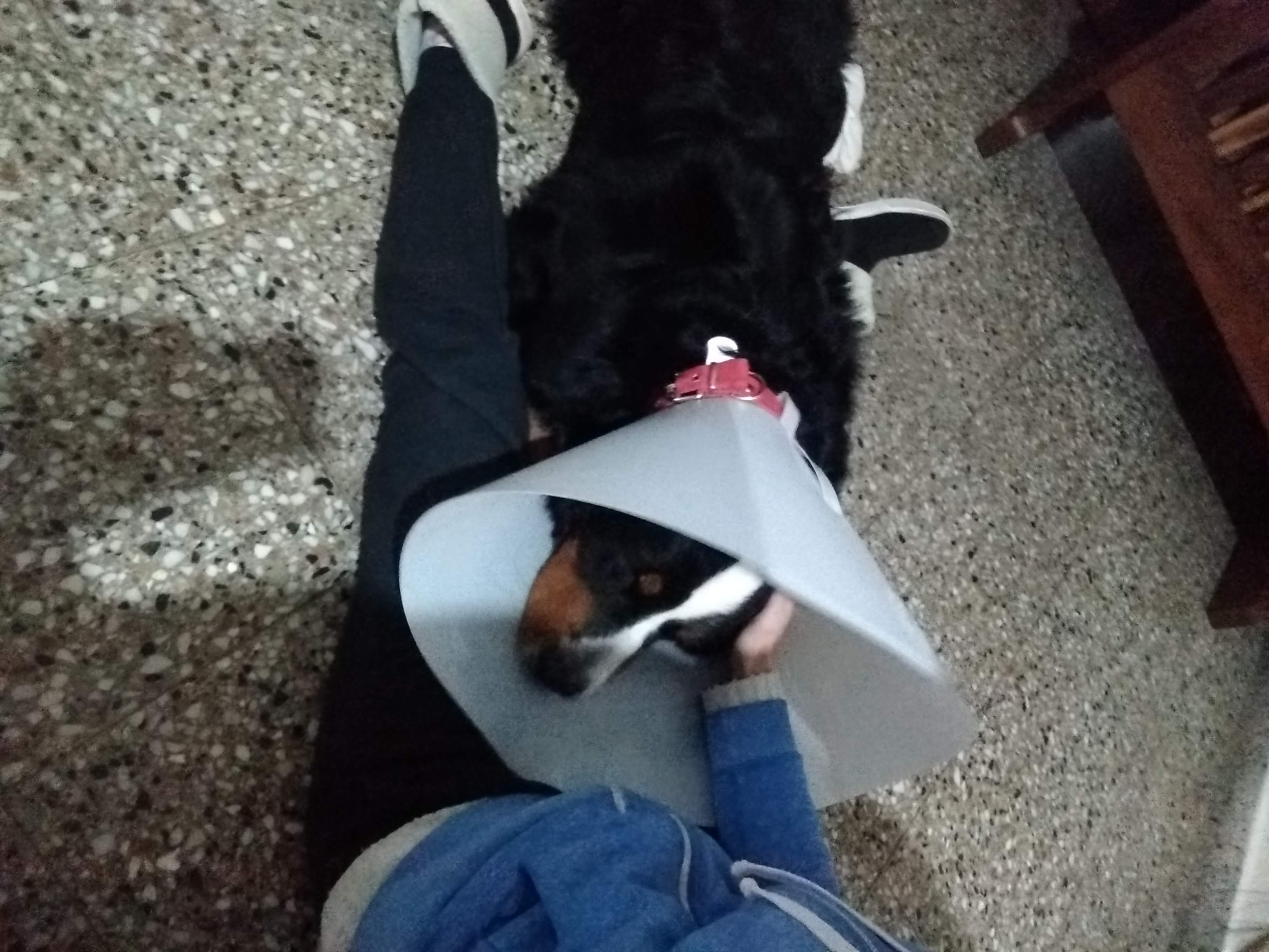 image-1