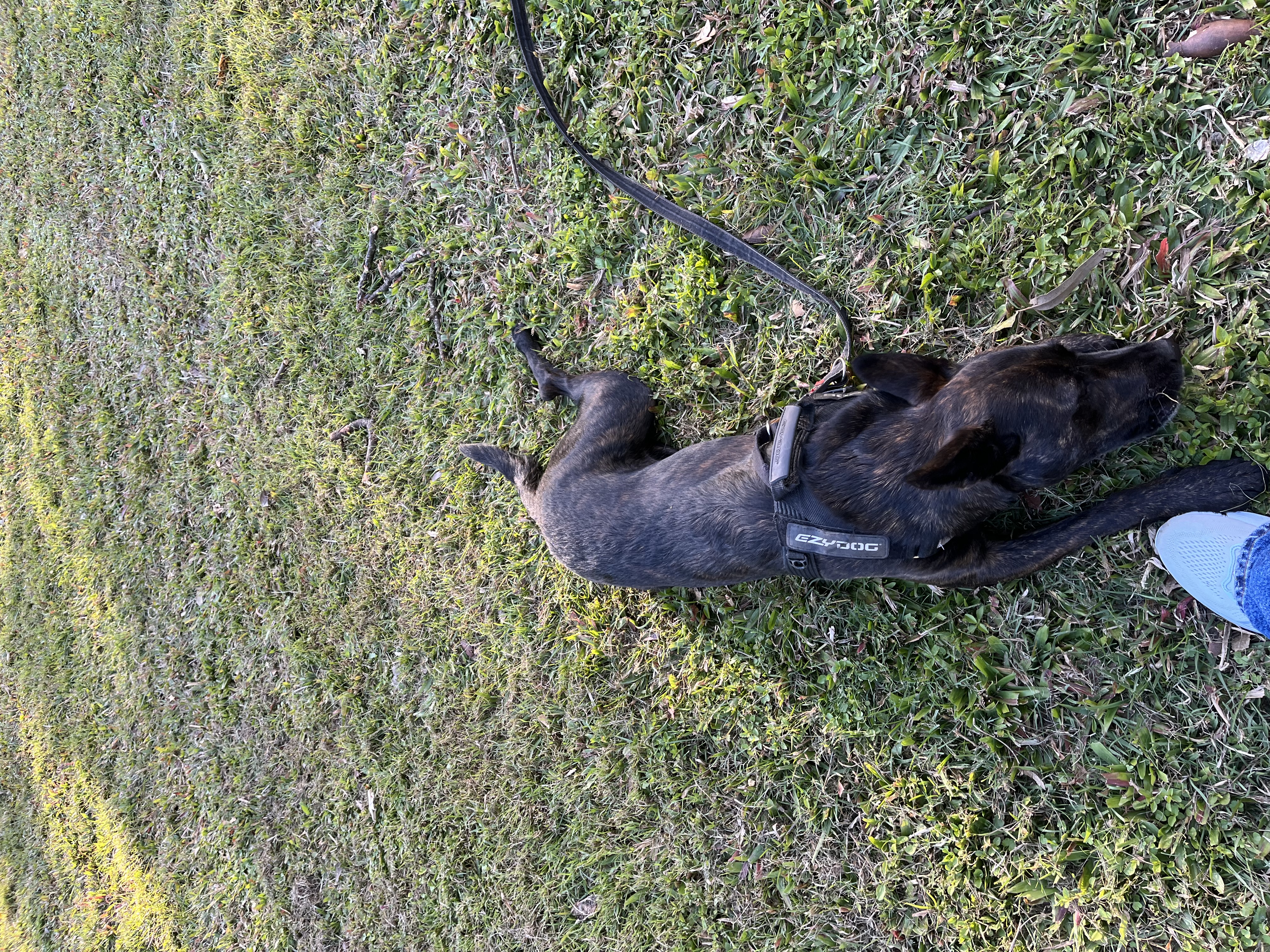 image-11