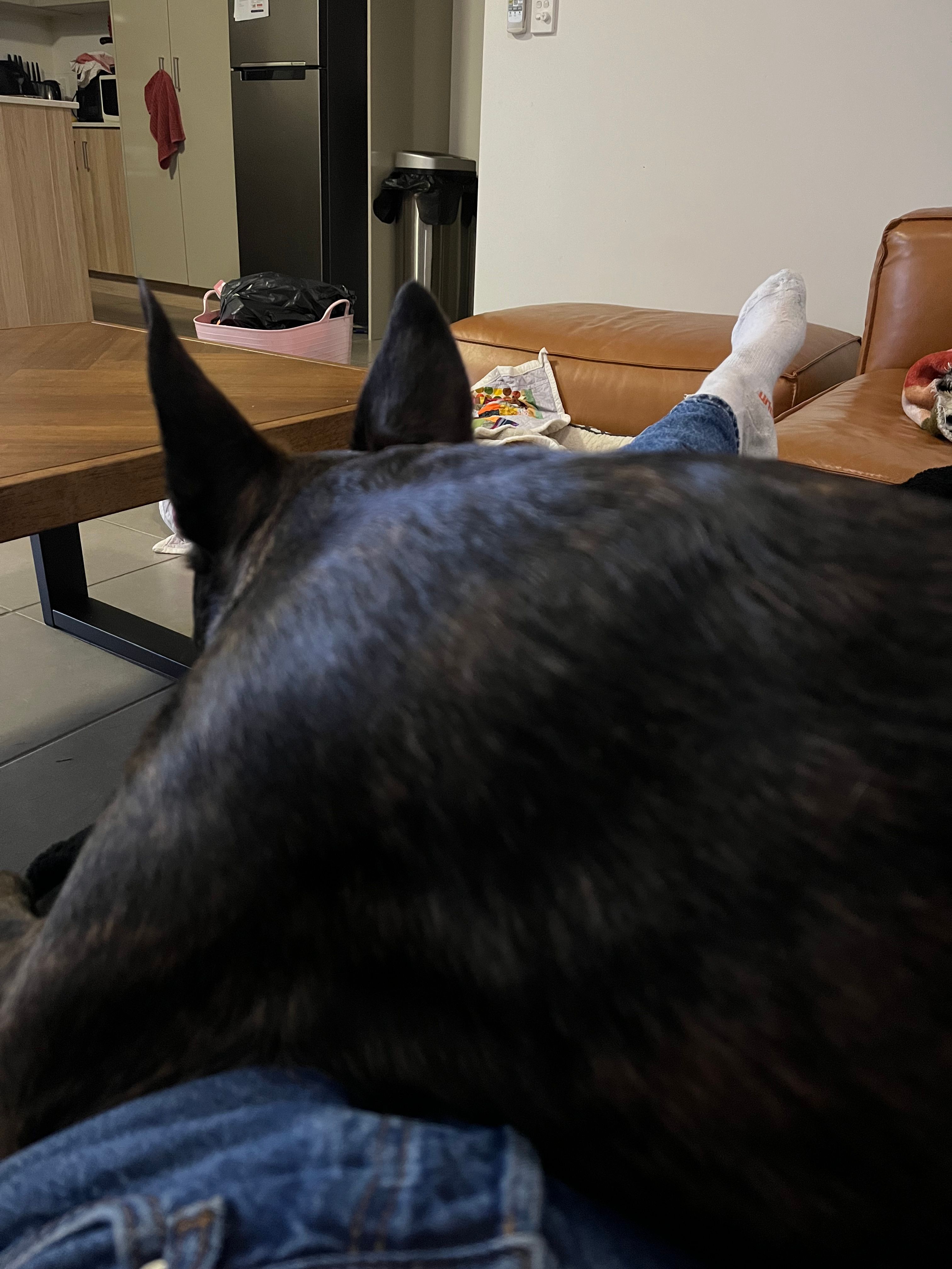 image-4
