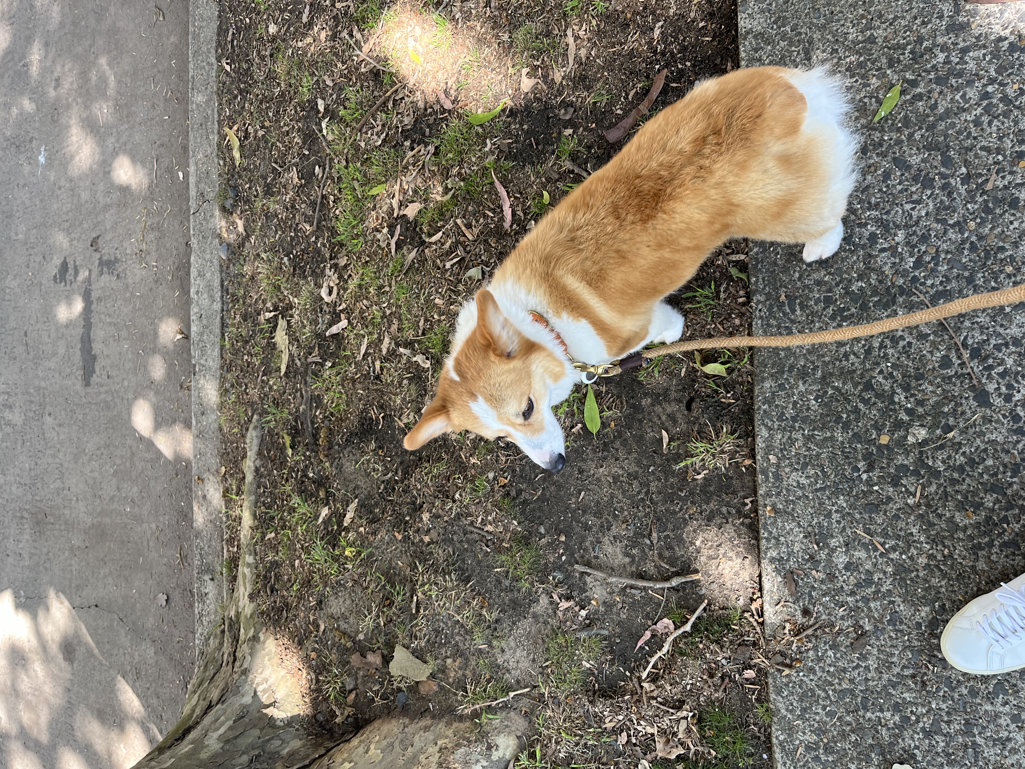 image-16