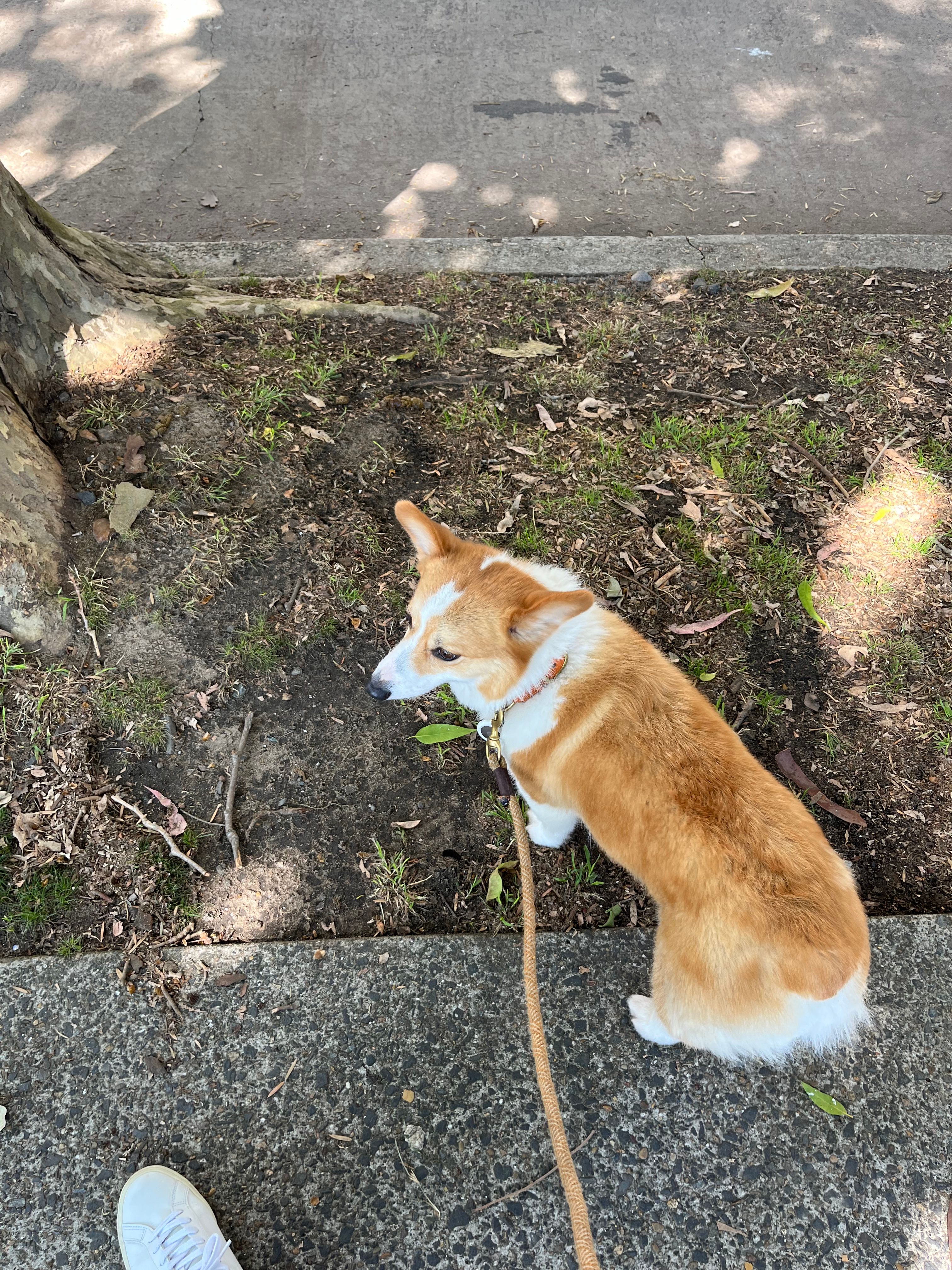 image-16