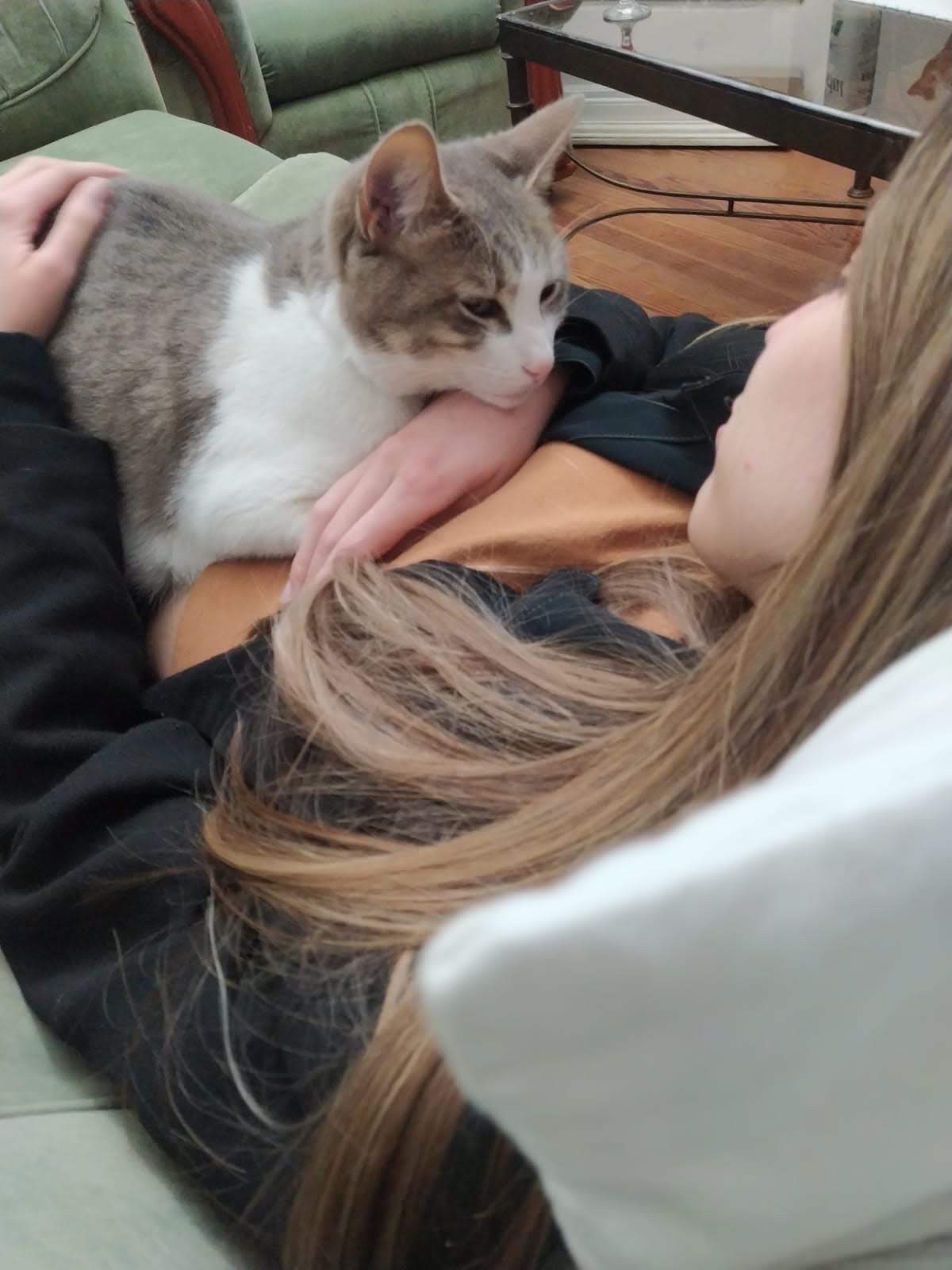 image-0