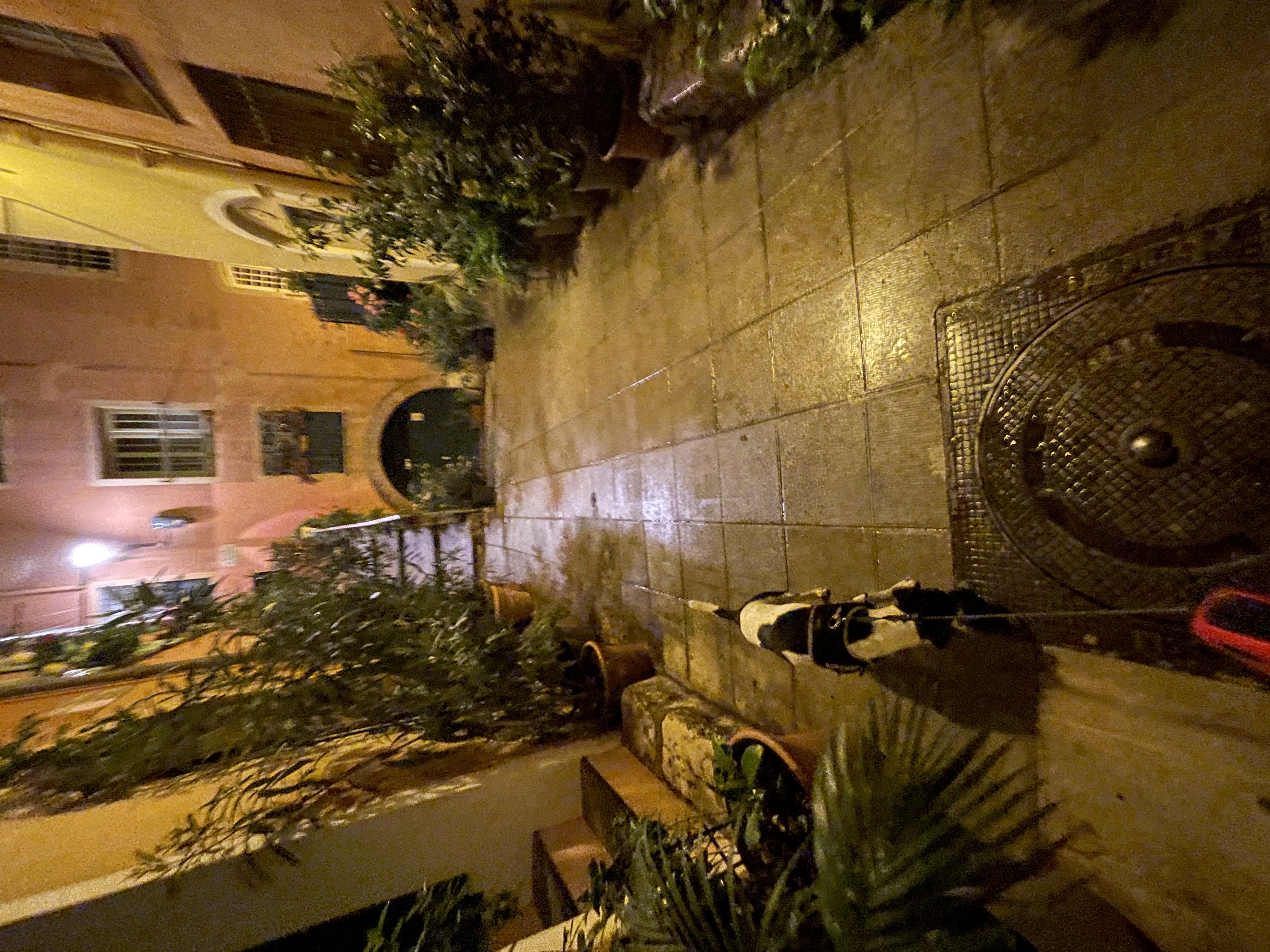 image-8