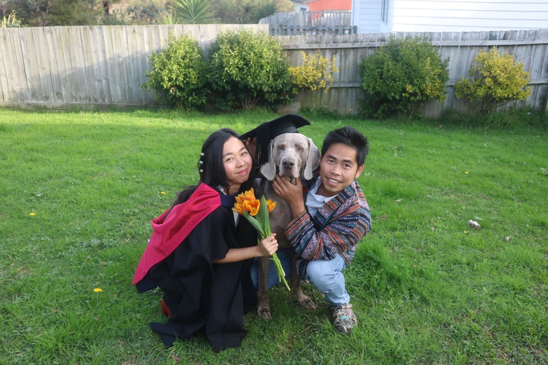 image-7