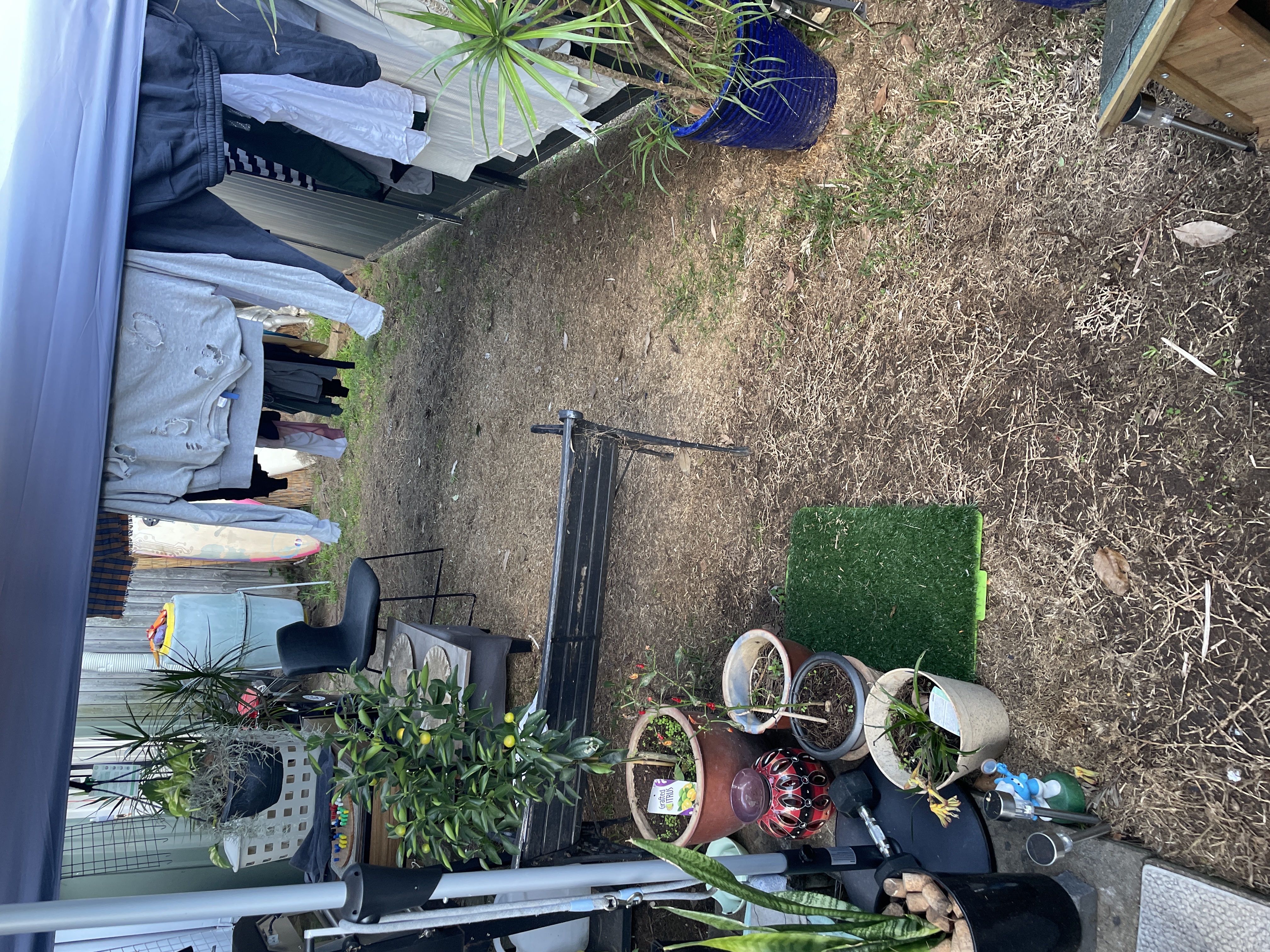 image-14