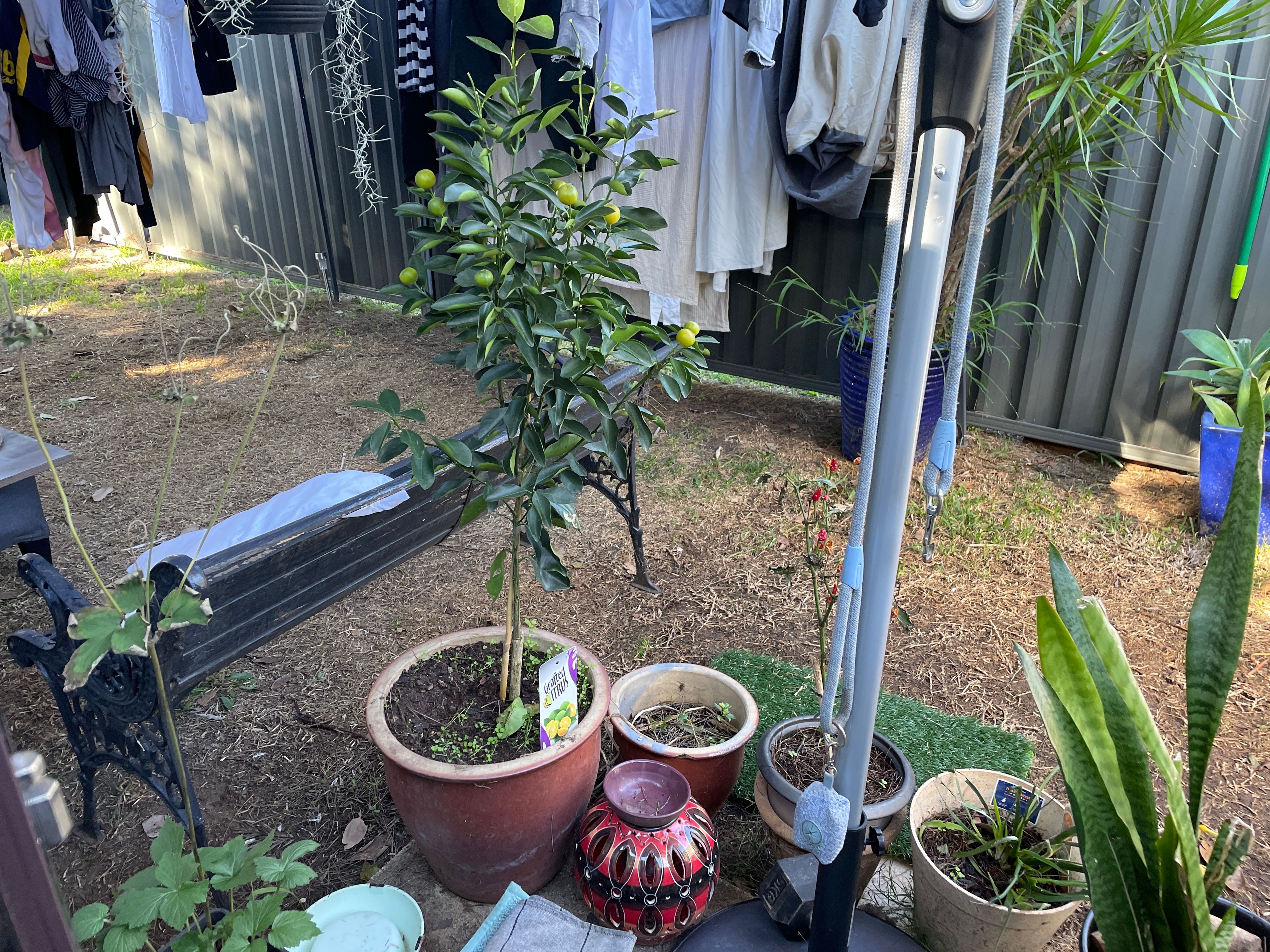 image-10