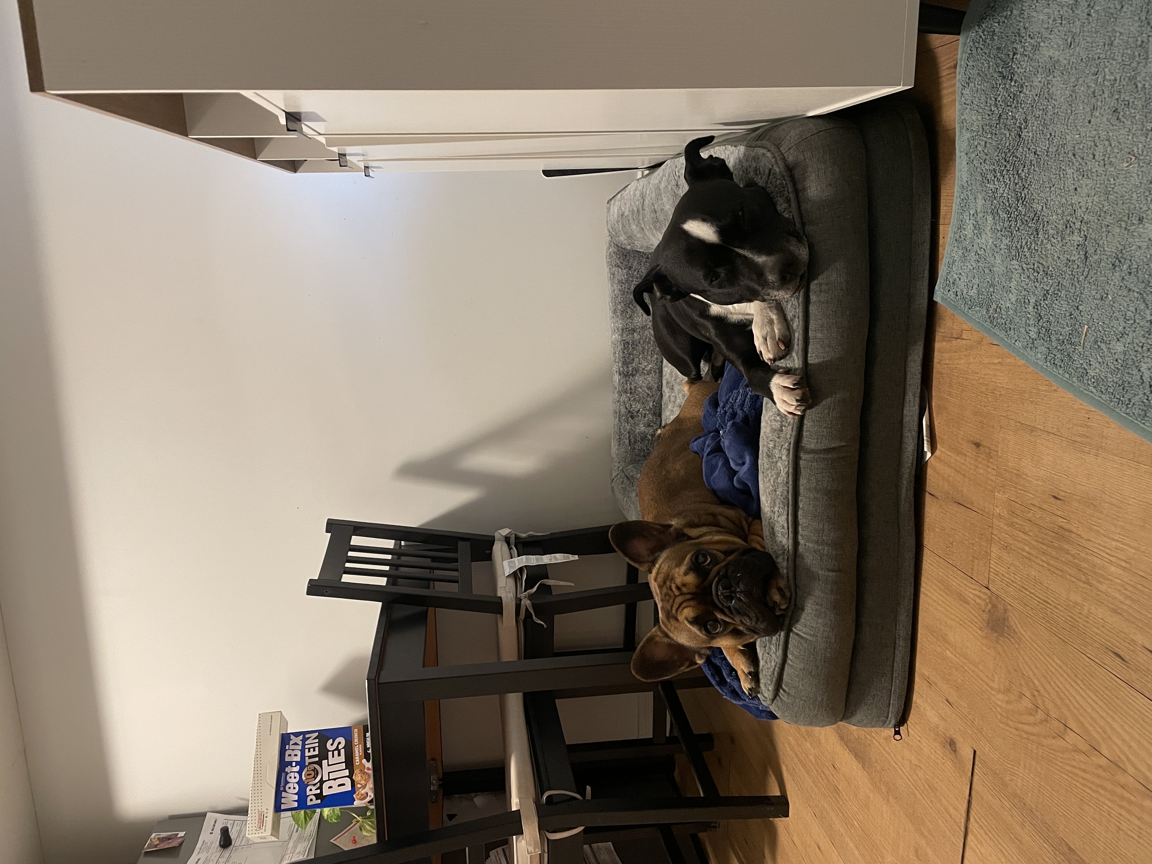 image-44