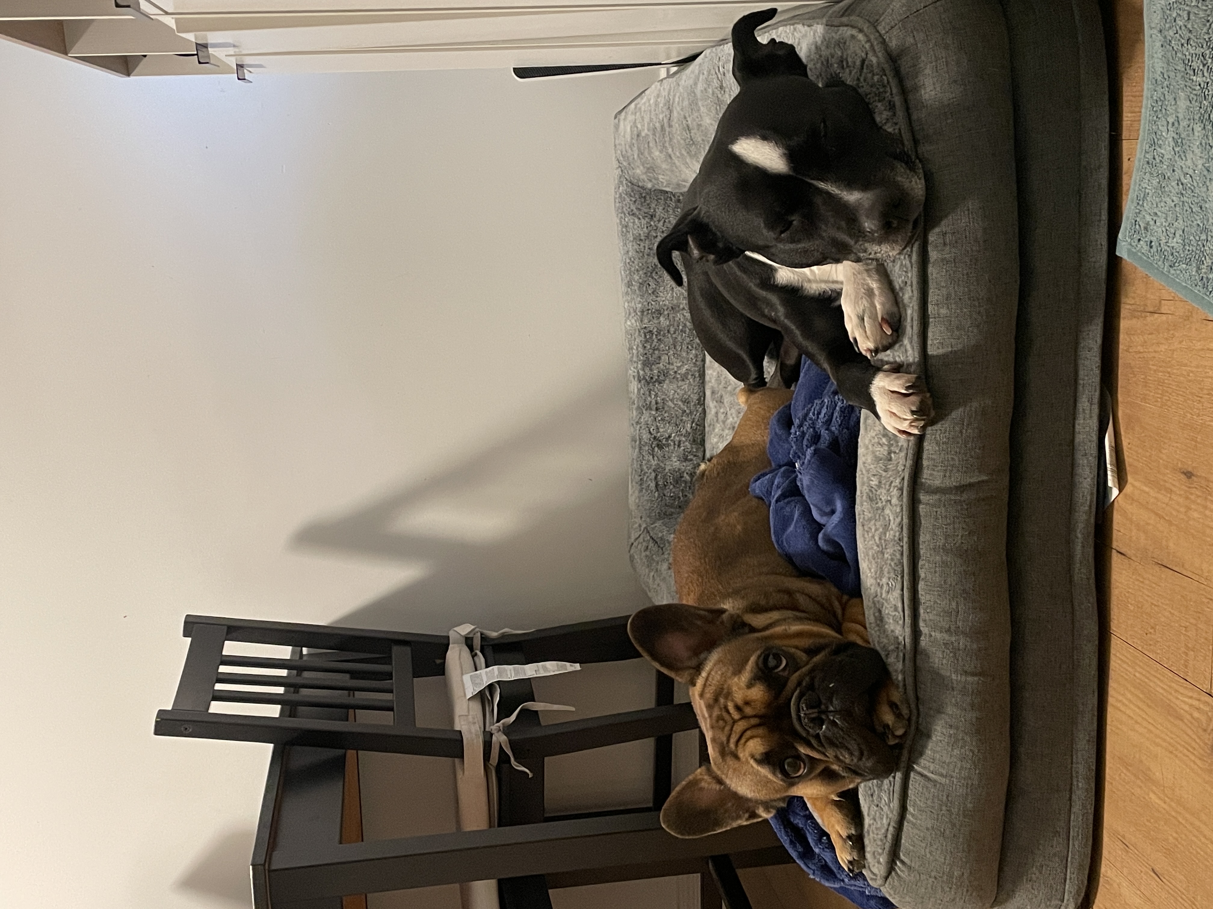 image-41