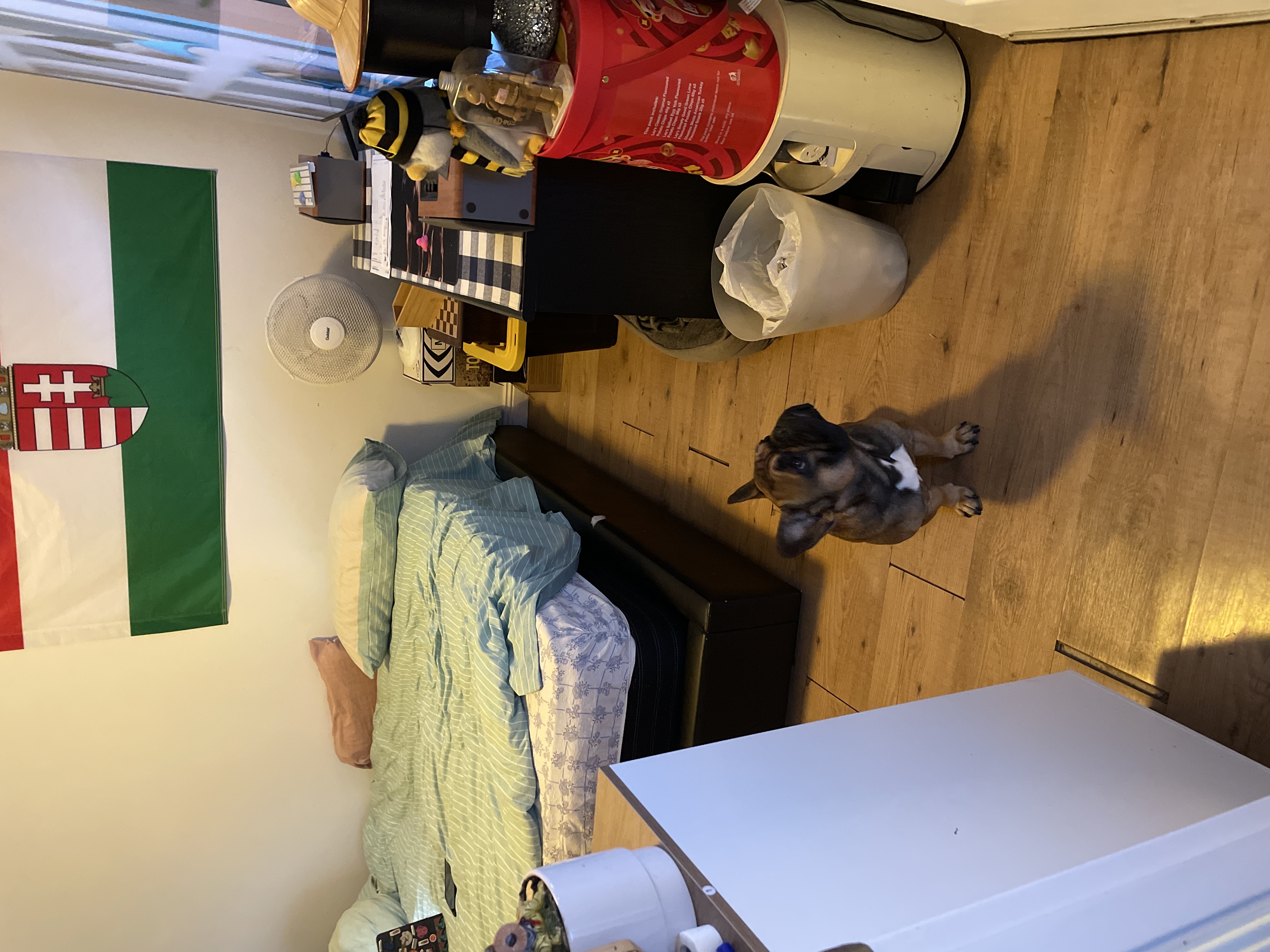 image-13