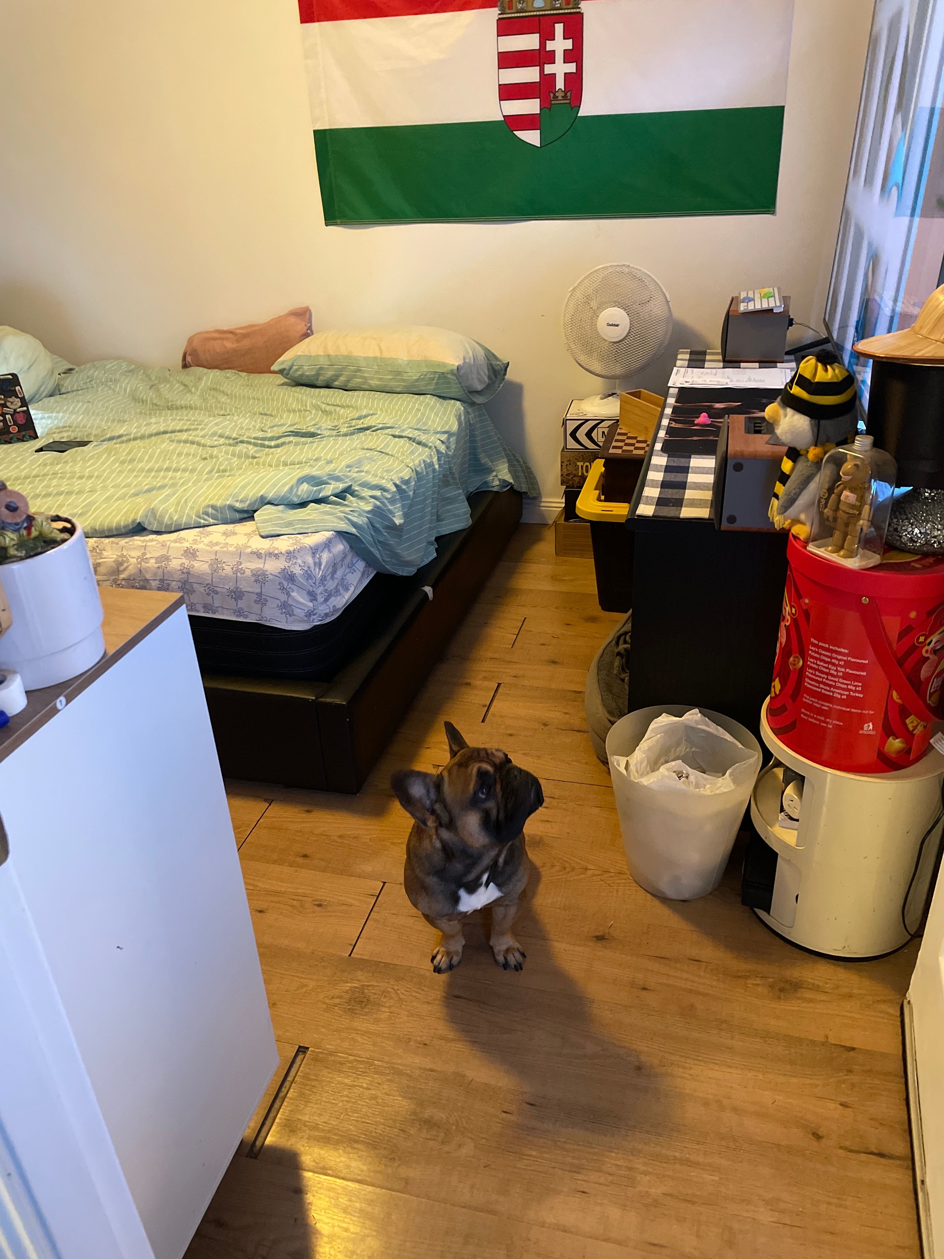 image-13