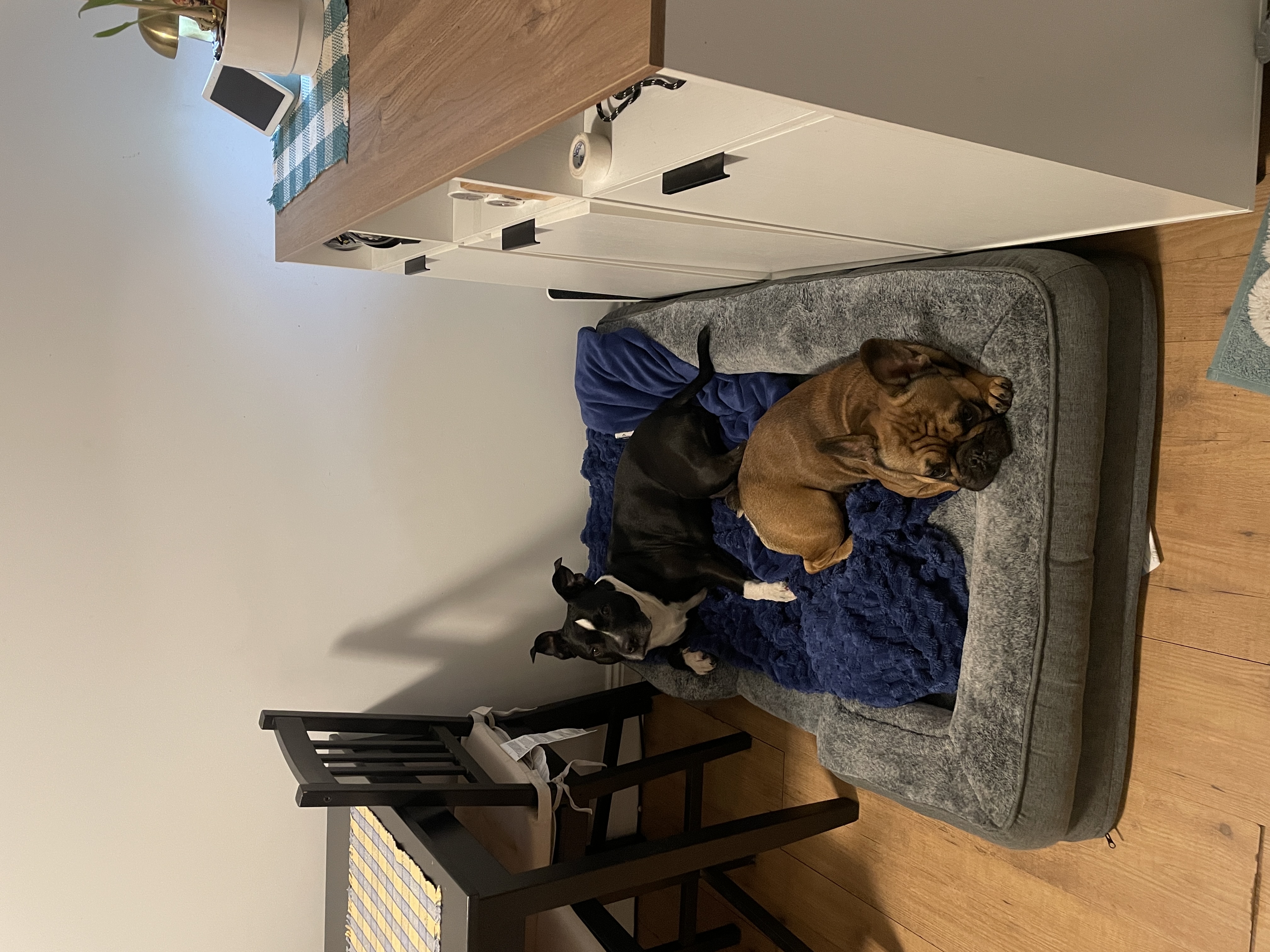 image-20