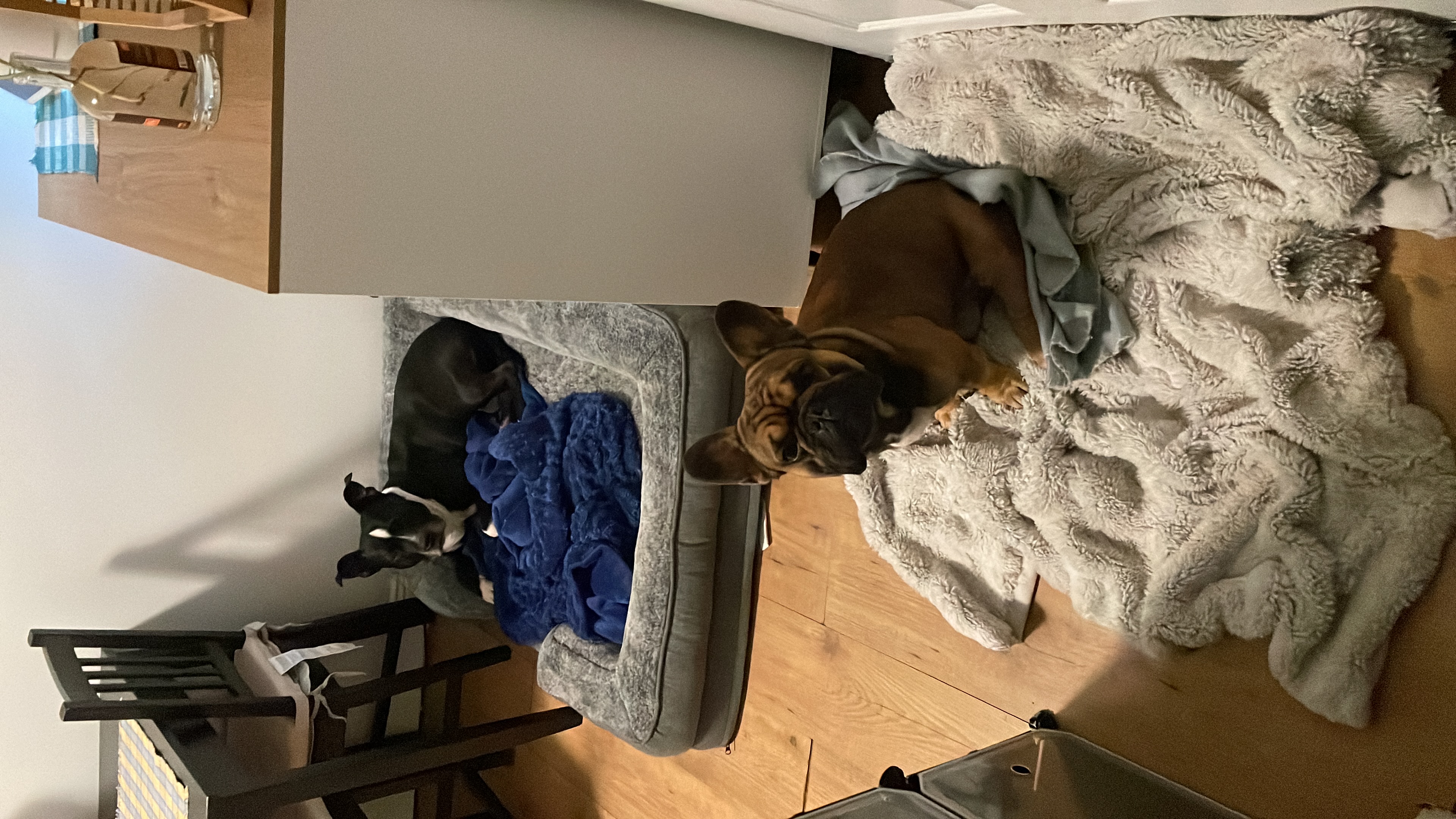 image-42