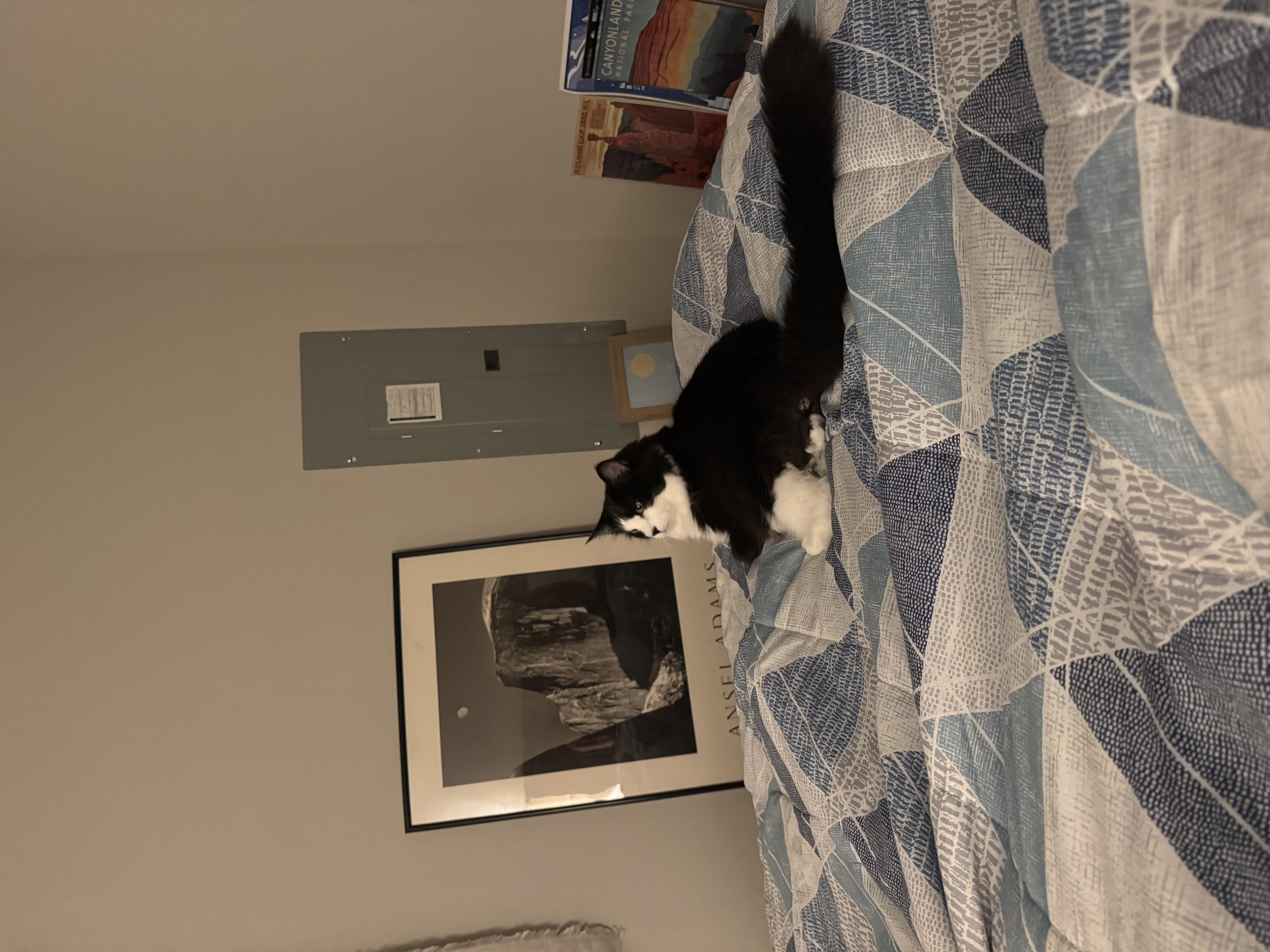 image-11