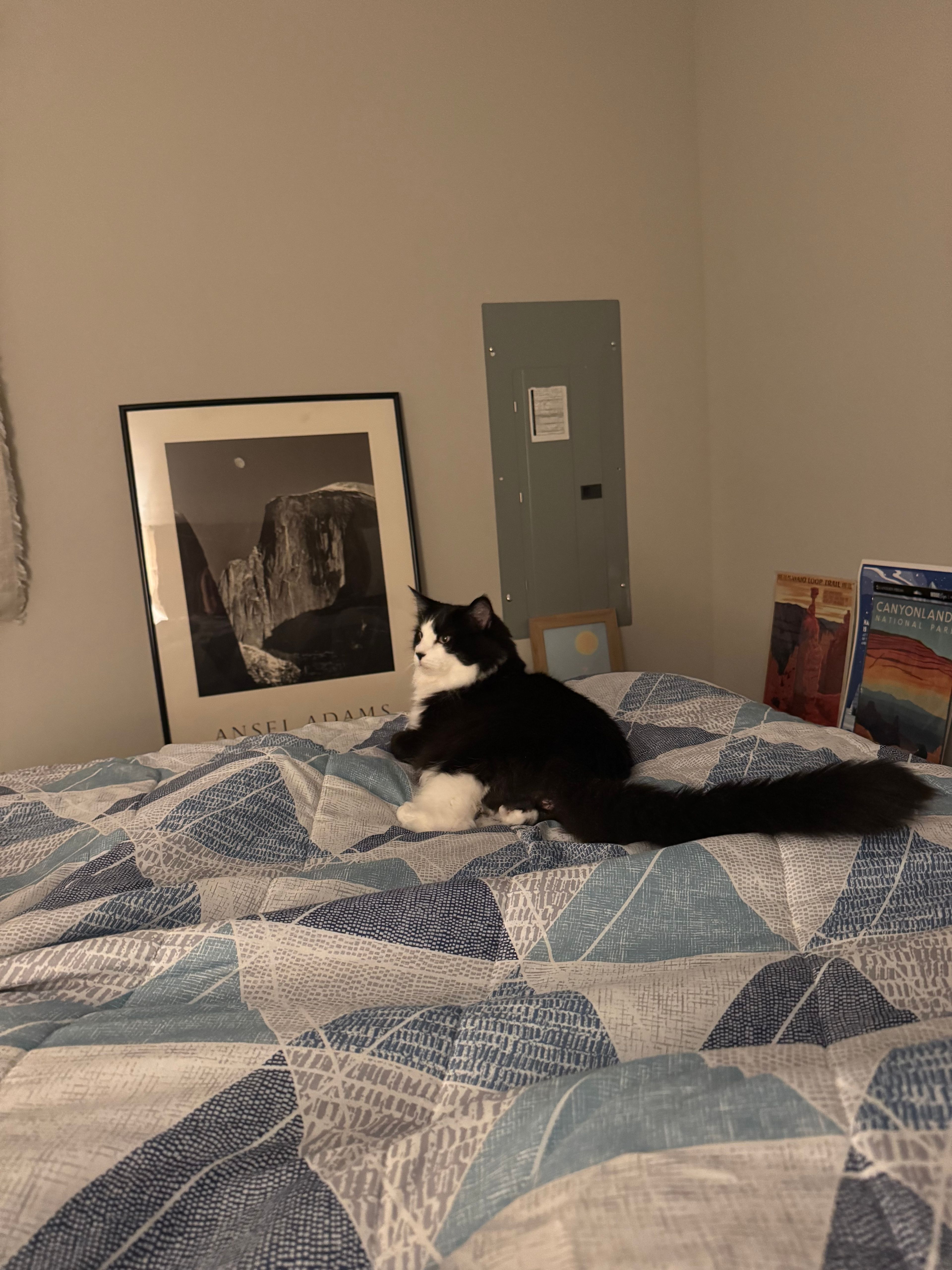 image-11