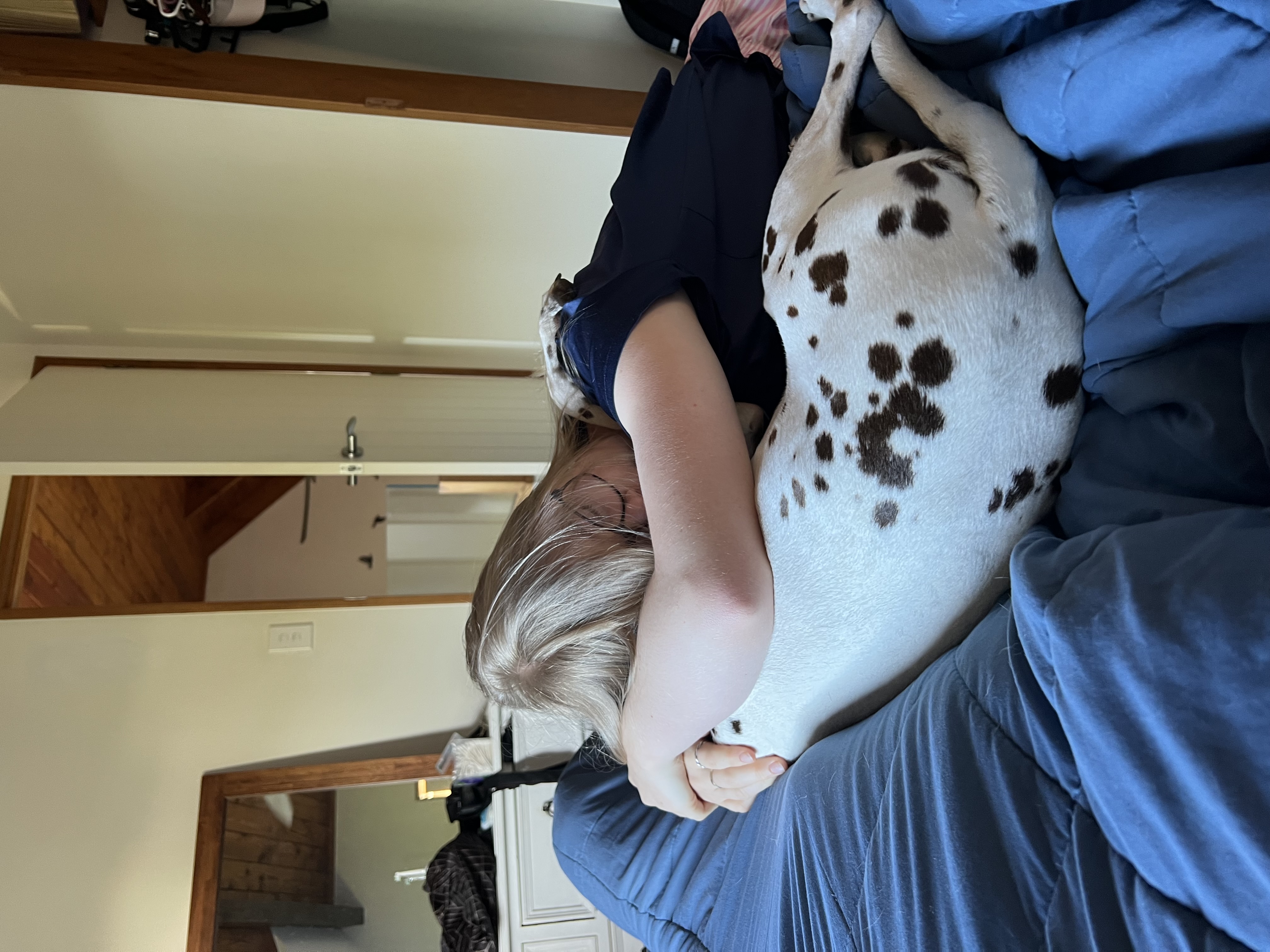 image-8