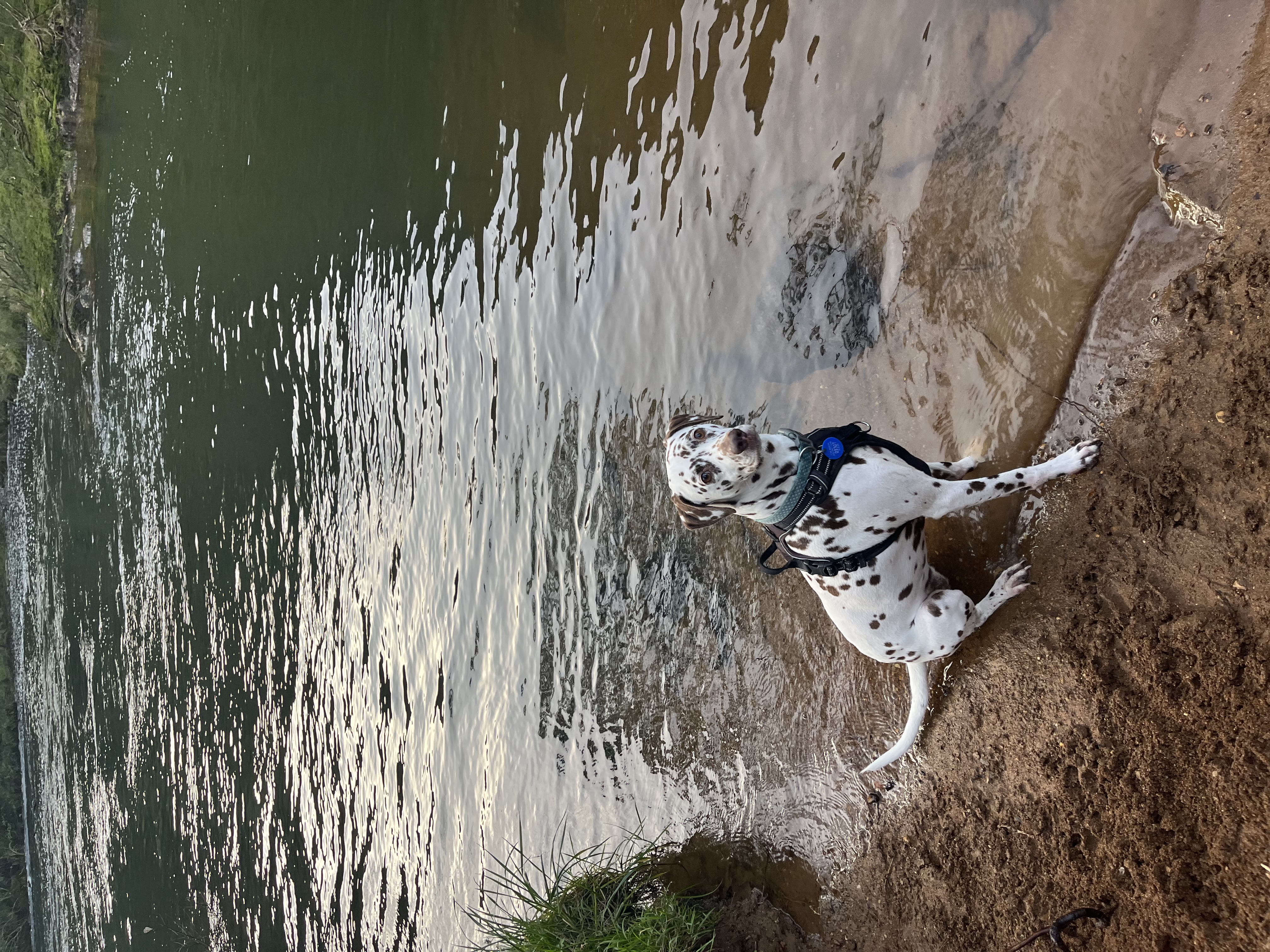 image-13