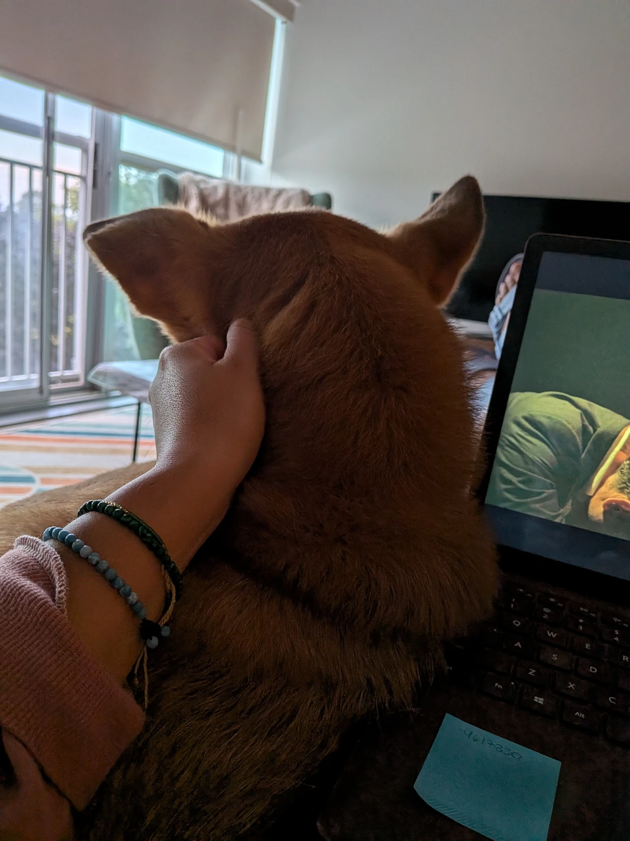 image-10