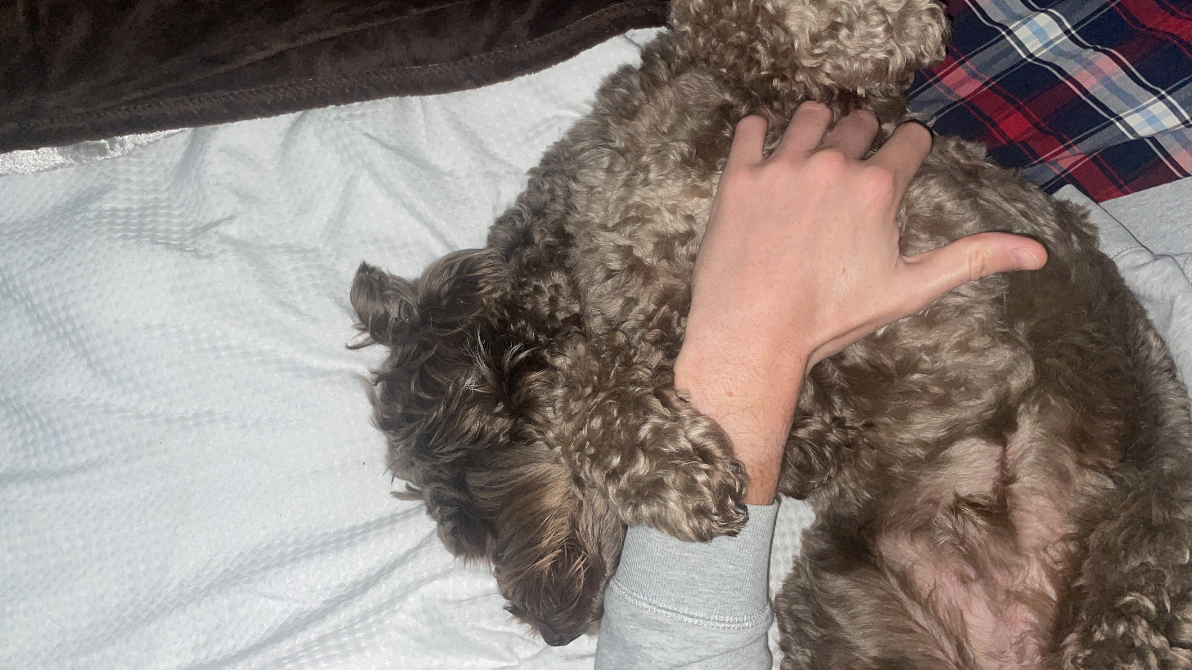 image-7