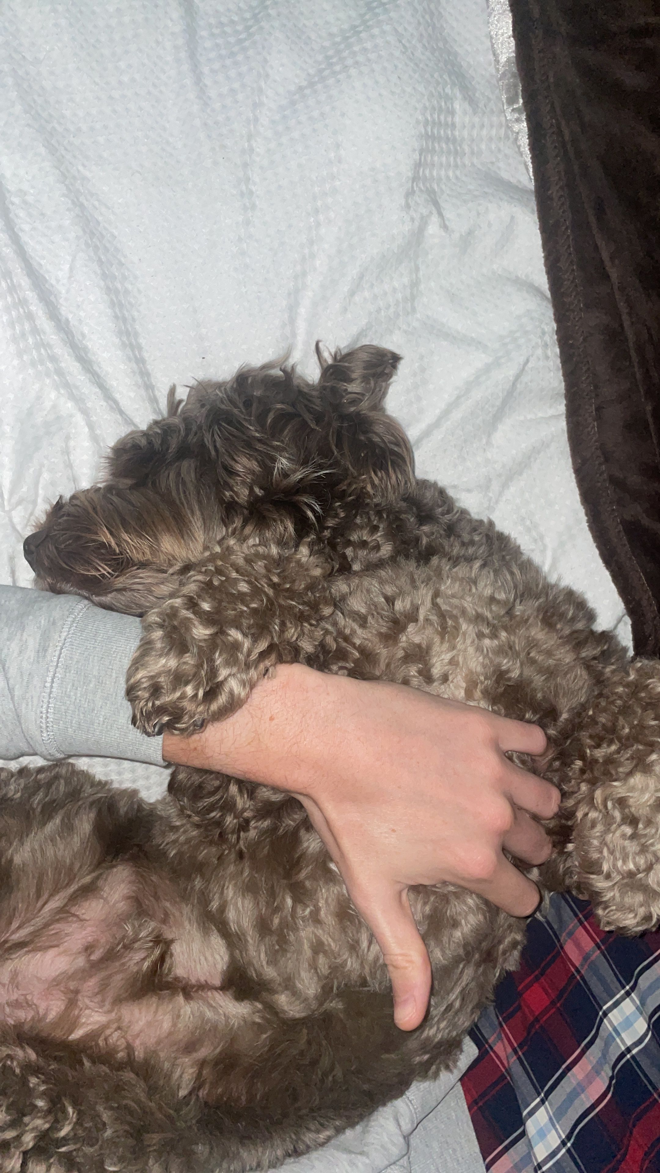 image-7