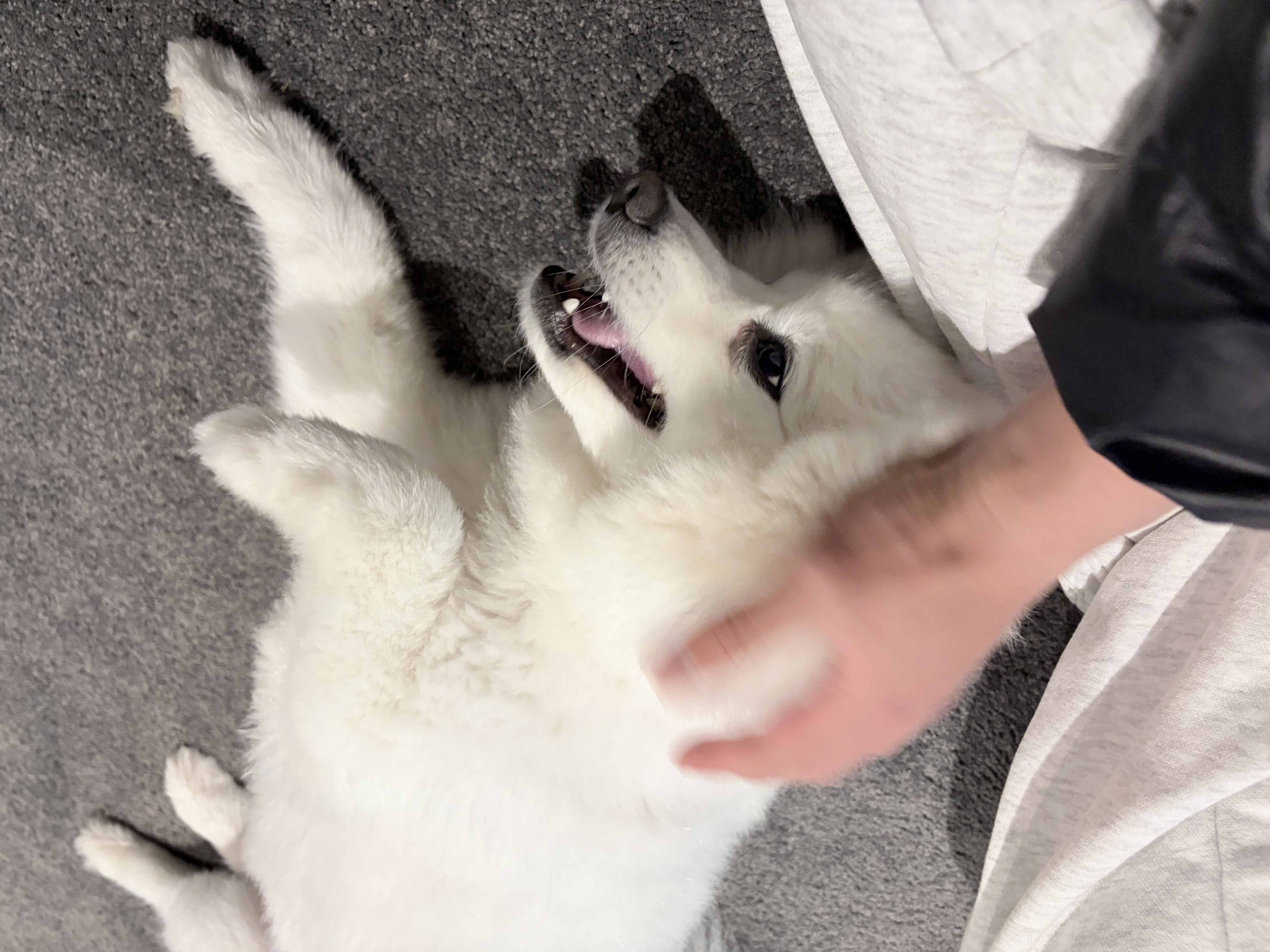 image-7