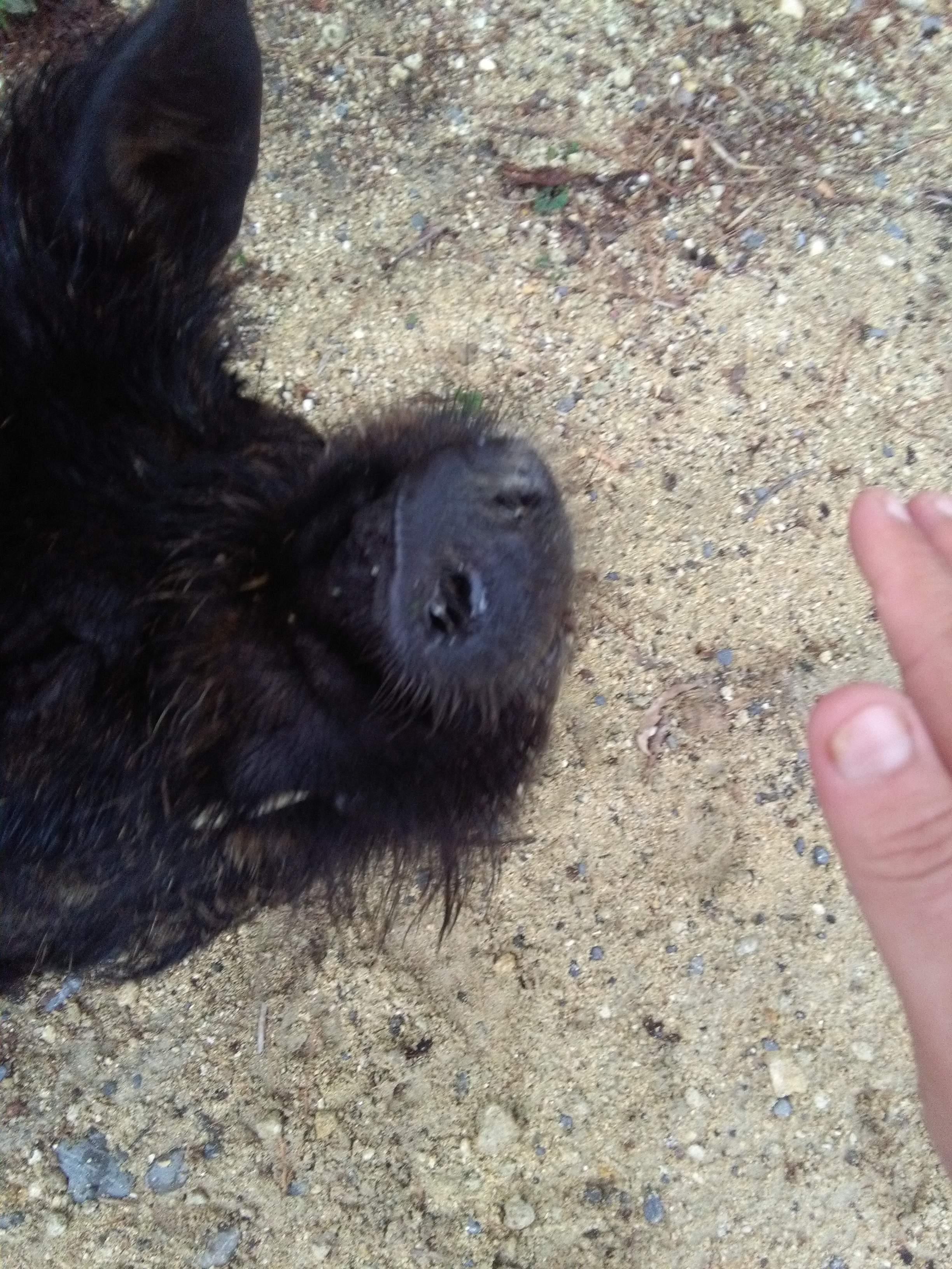 image-9