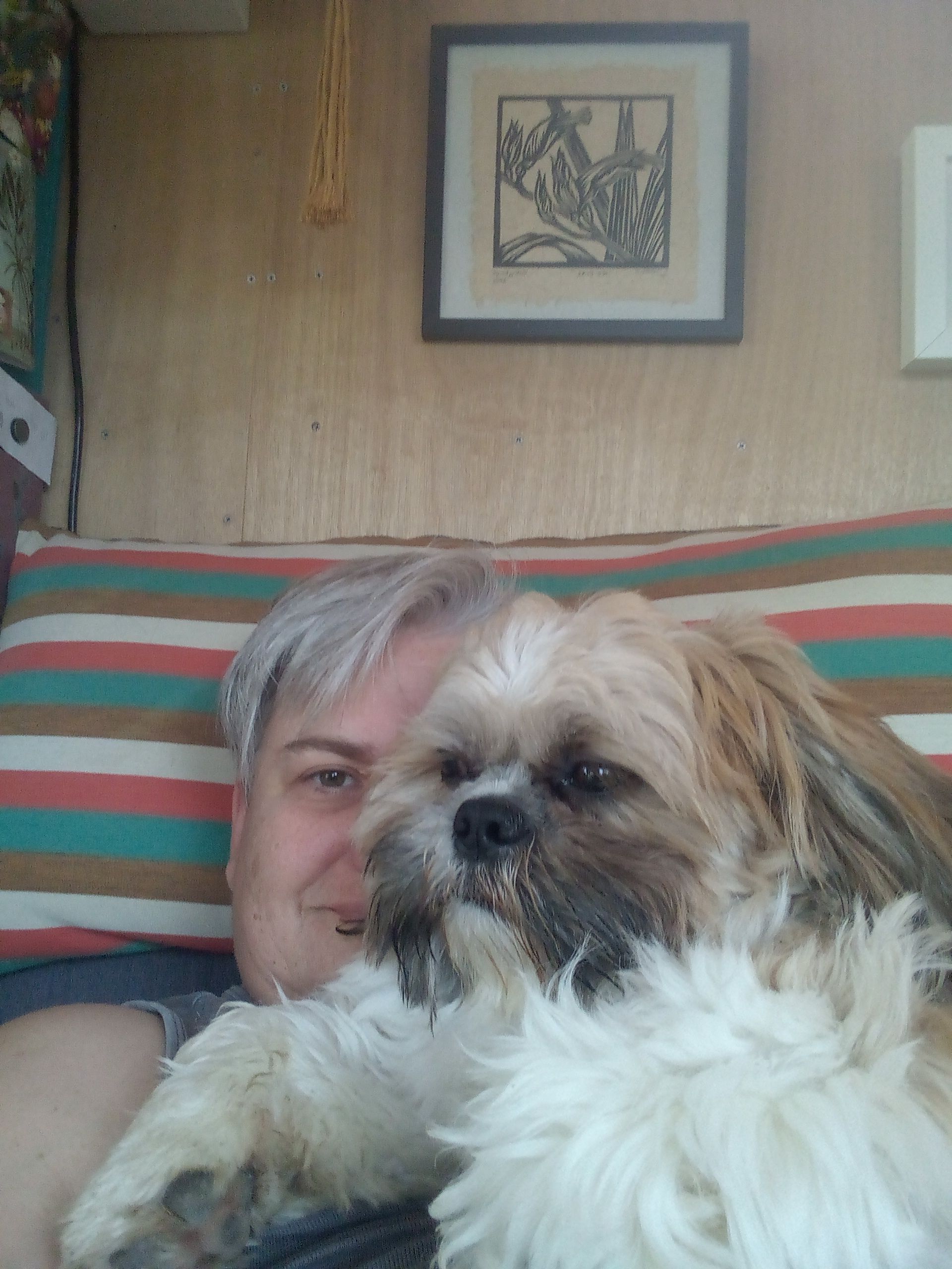 image-5