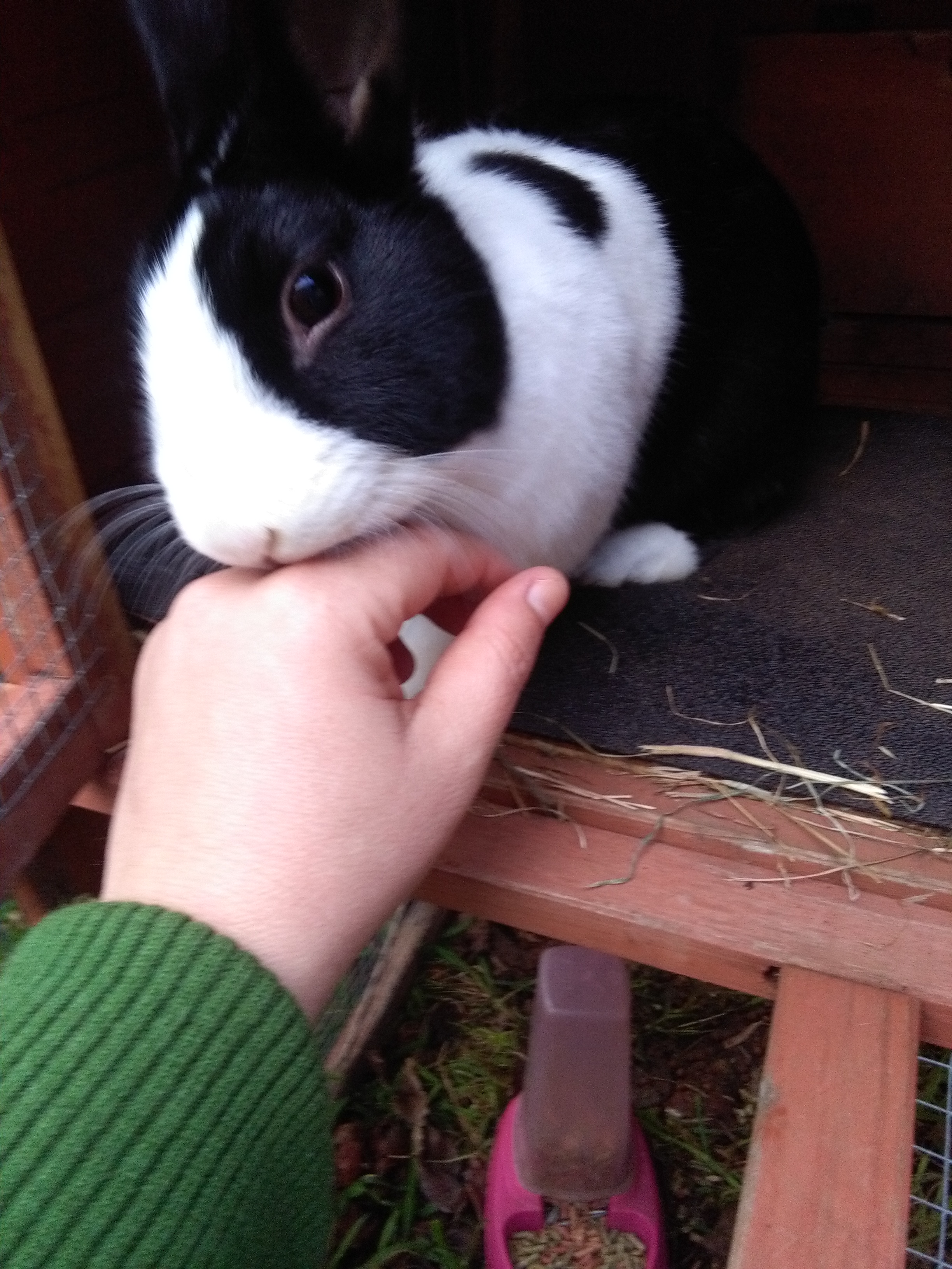 image-8