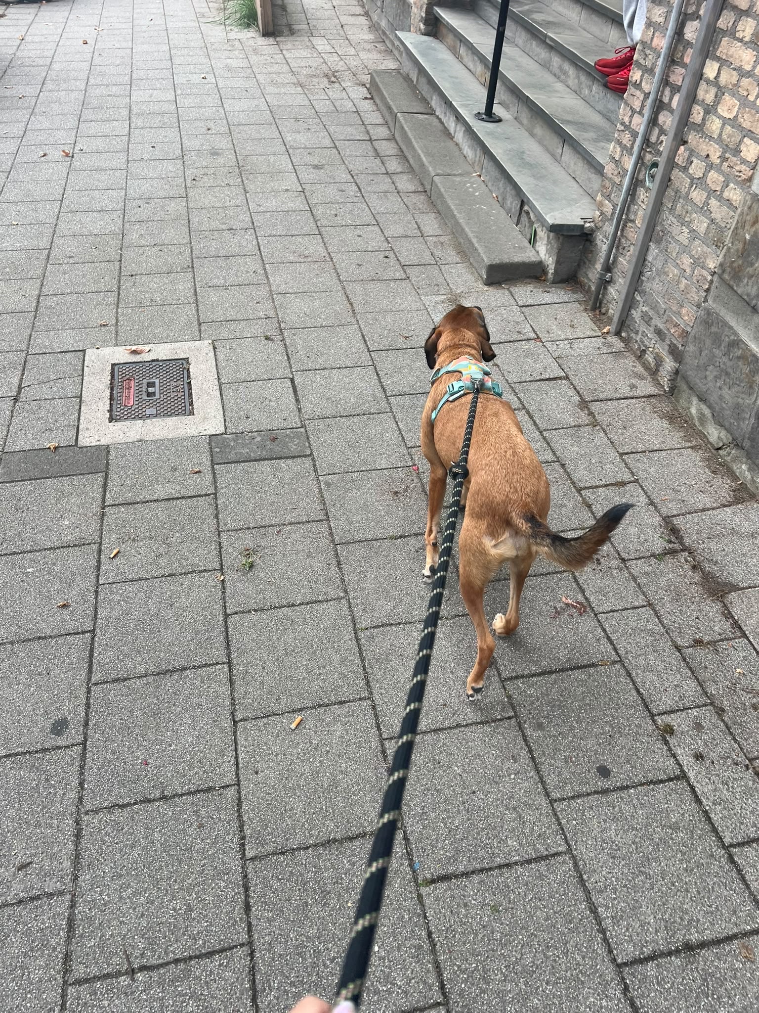 image-7