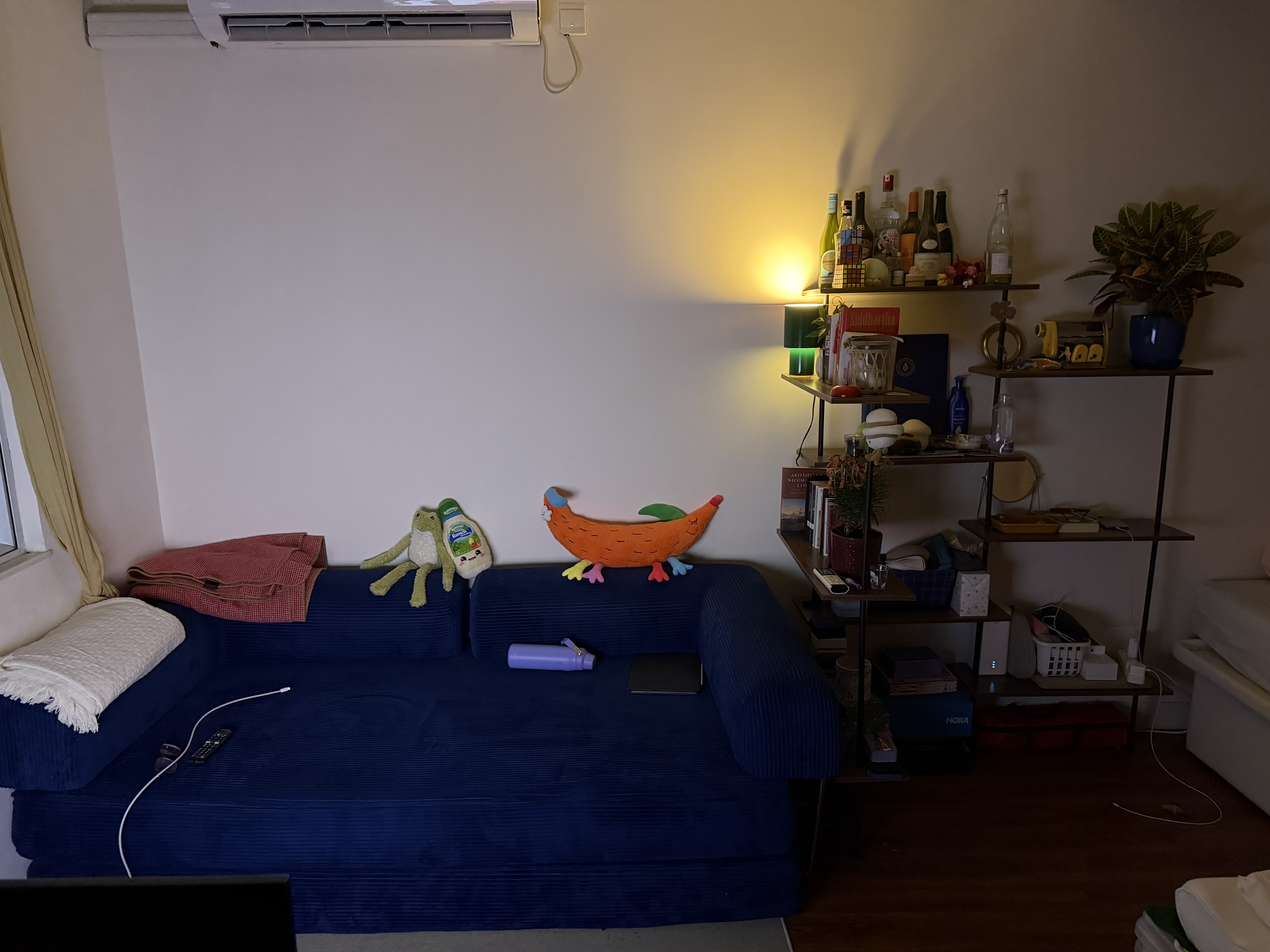 image-11