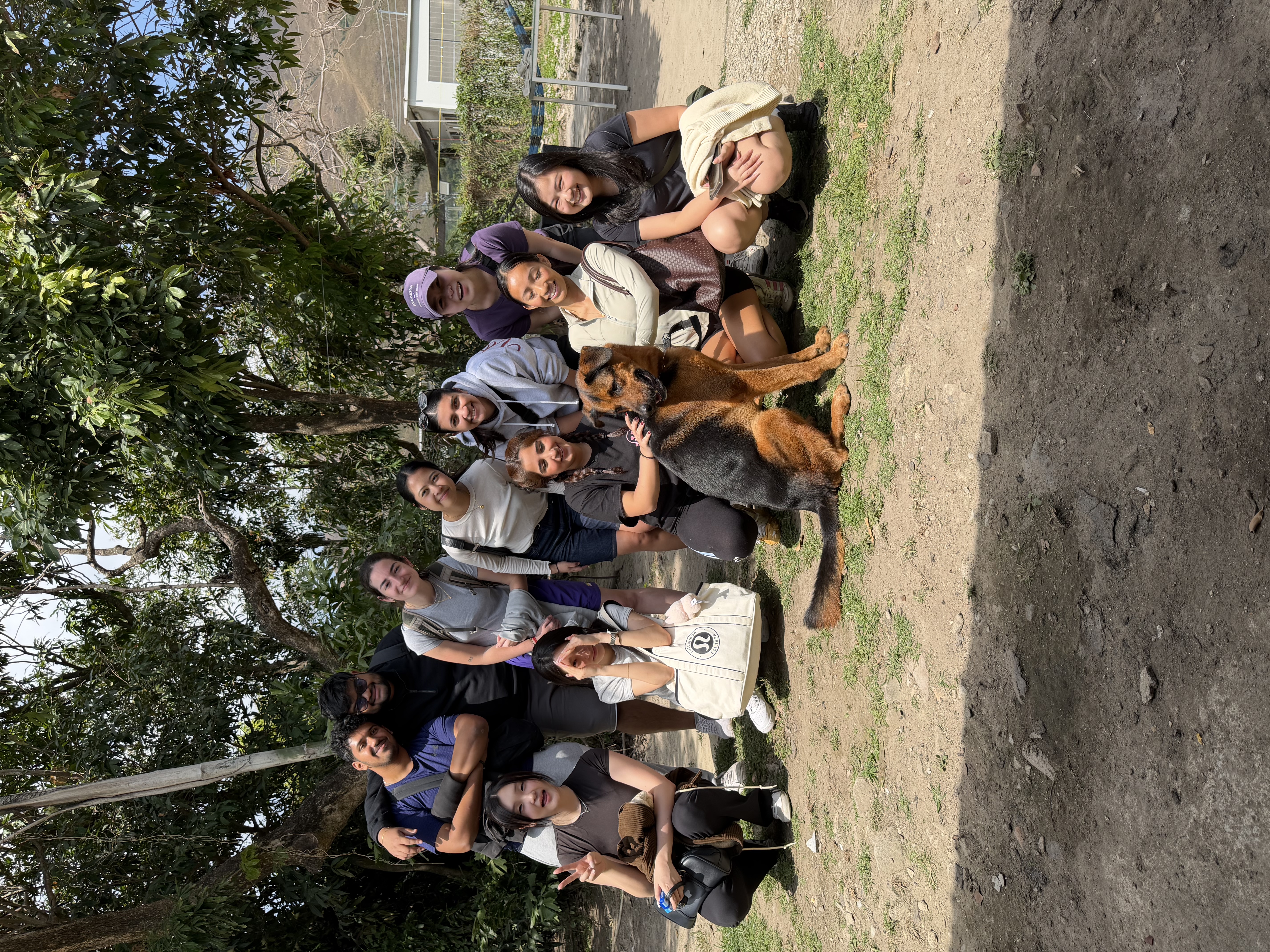 image-3