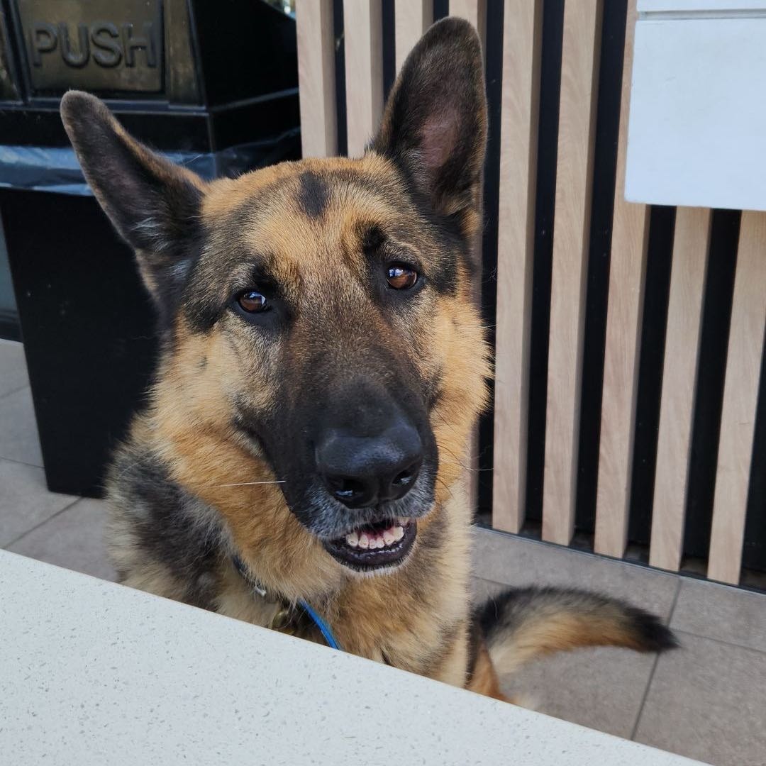 Ruger